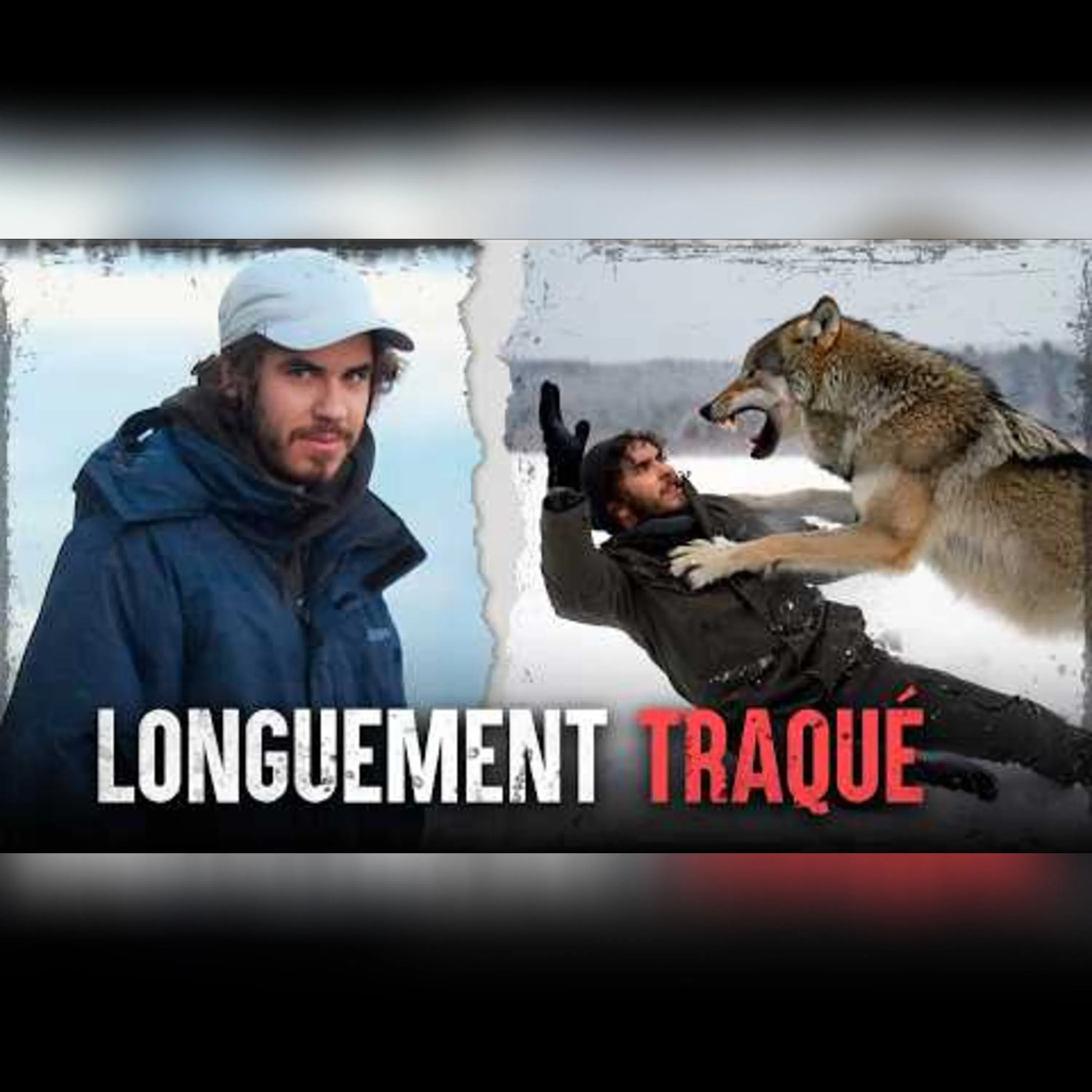 Les attaques de loup les plus mortelles de l'histoire episode artwork