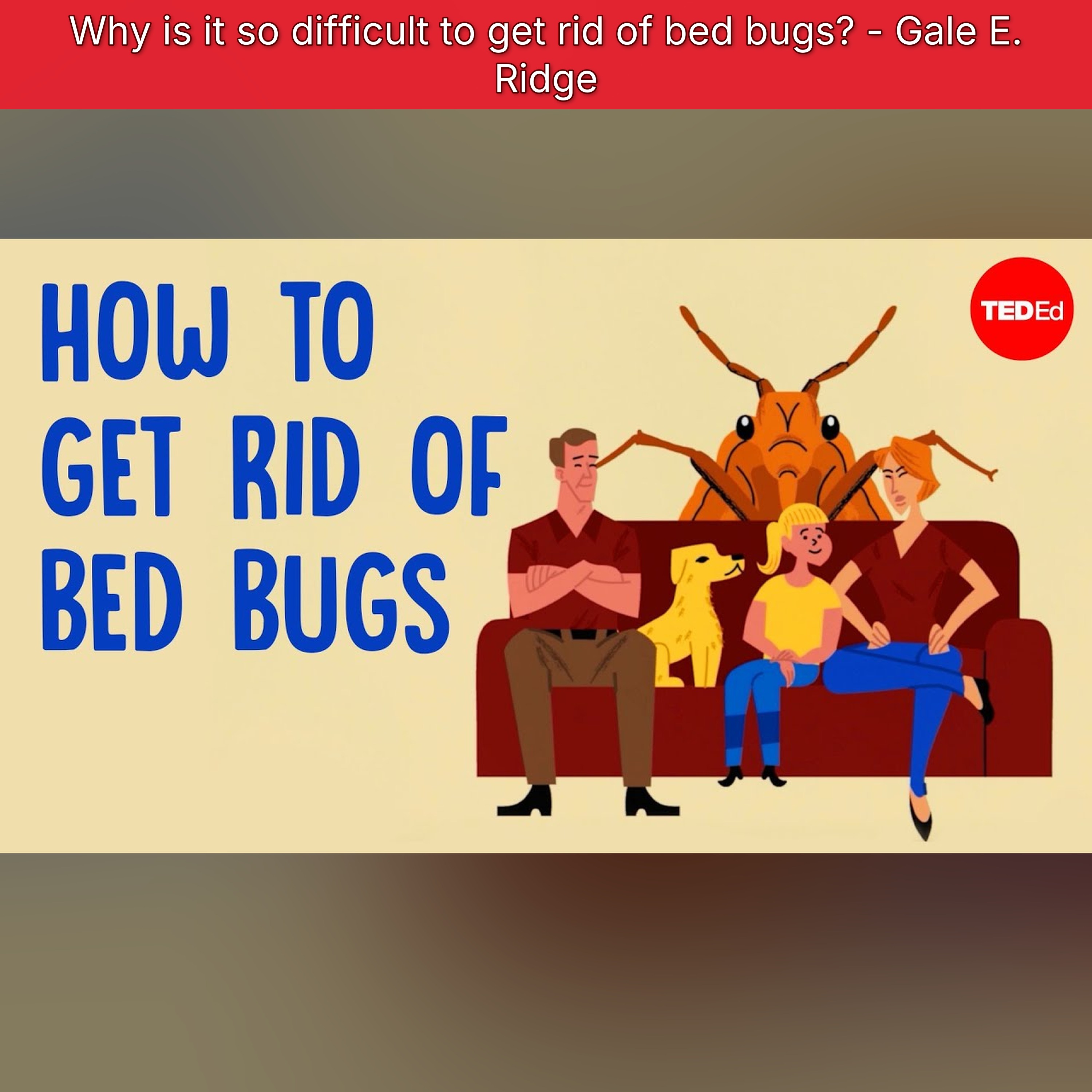 Why is it so difficult to get rid of bed bugs? - Gale E. Ridge episode artwork