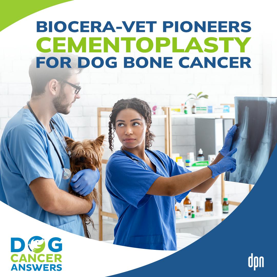 BIOCERA-VET Cementoplasty for Dog Bone Cancer | Aqui Villamonte Chevalier, DVM, PhD & Dr. Shaina Stewart #236