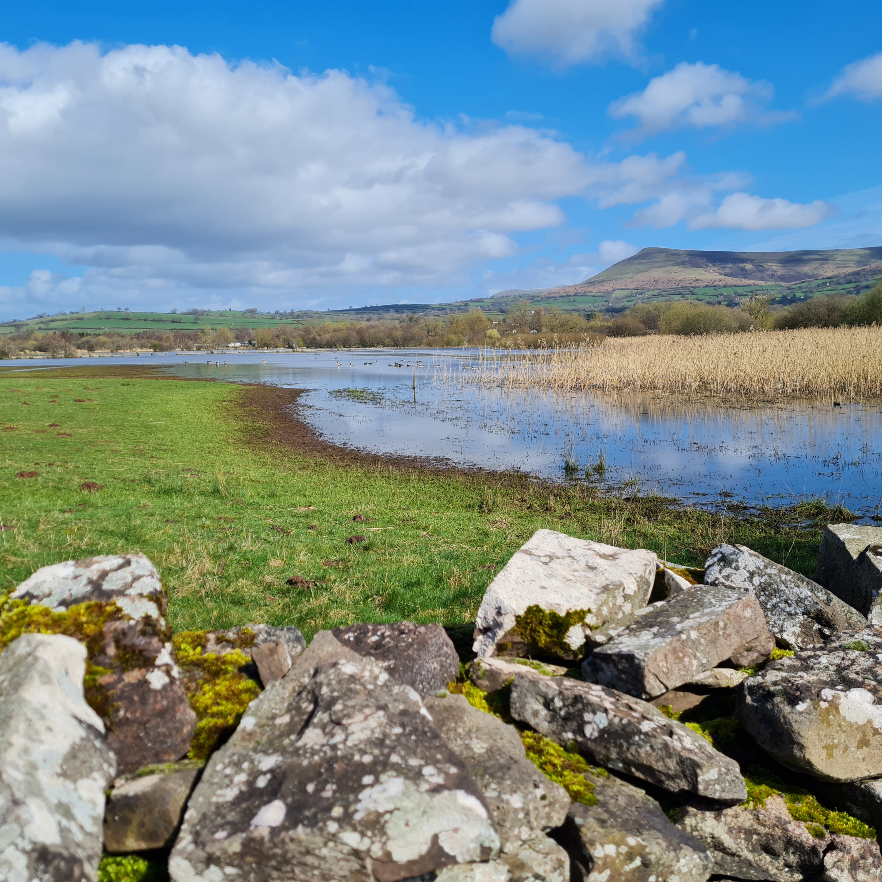 Sound Escape 165. A peaceful meditation among the geese at an ancient Welsh lake