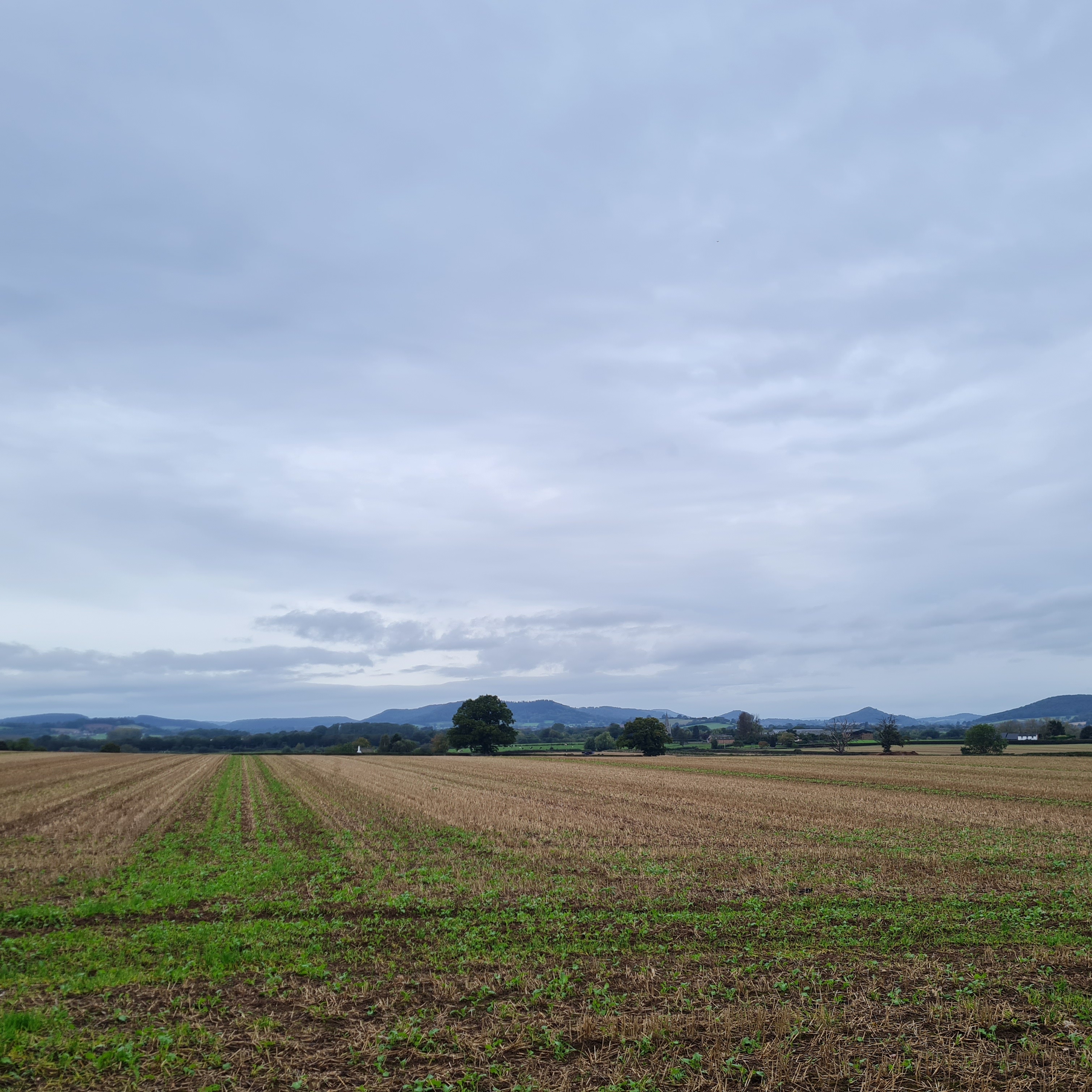 216: Dark tales from a hillfort in deepest Herefordshire