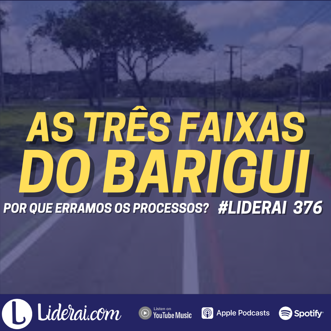 Liderai 376 | Por que erramos os processos?