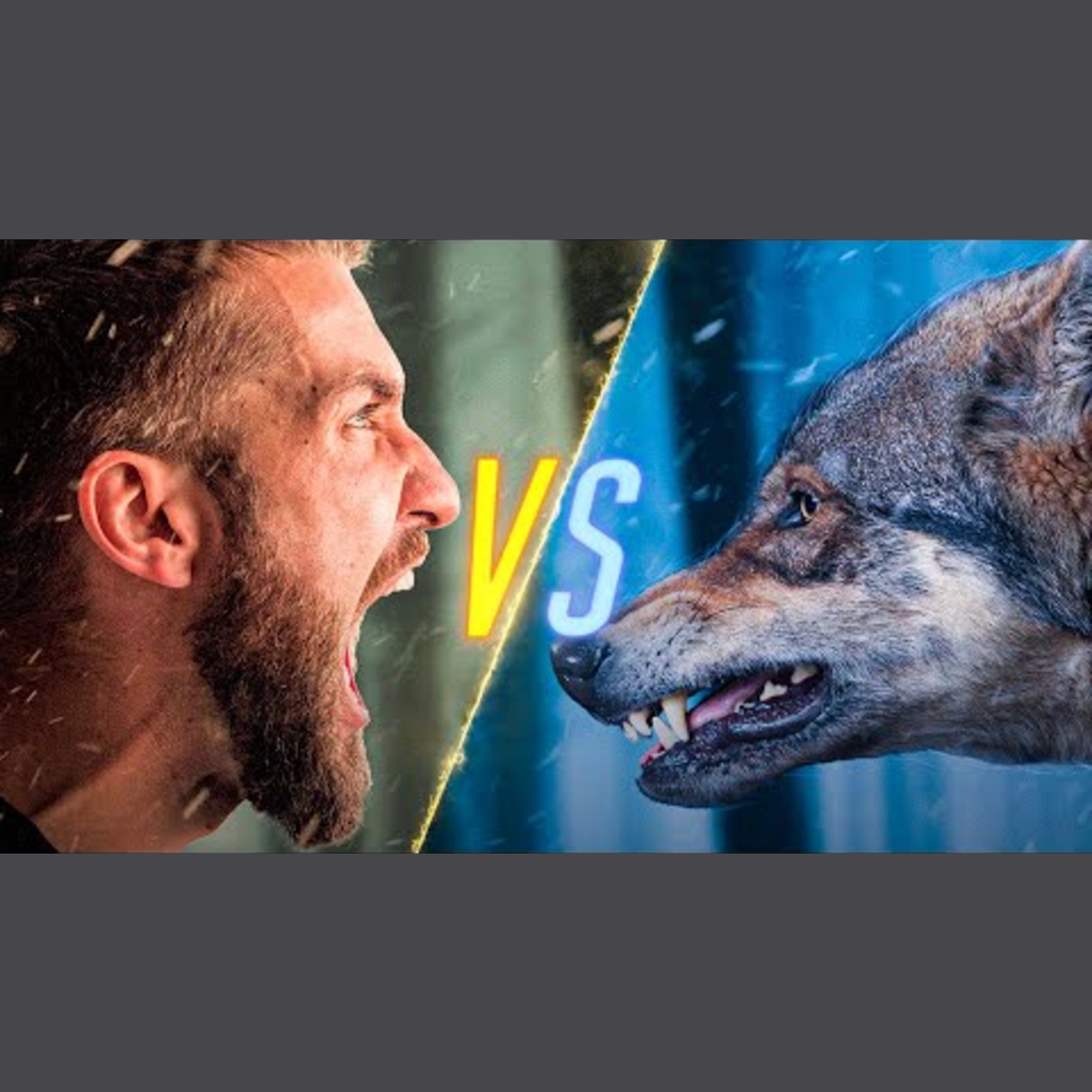 Man vs Wolf episode artwork