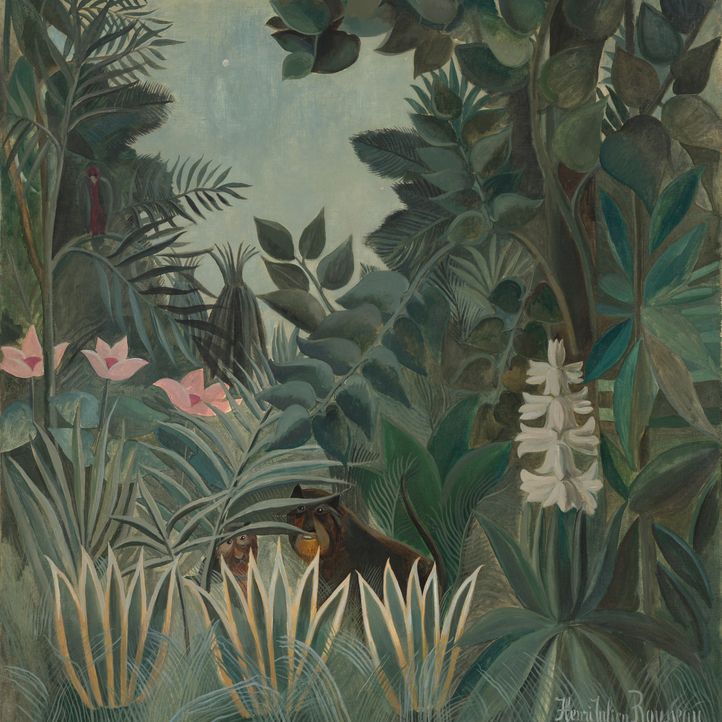 TLDR Henri Rousseau | The Equatorial Jungle