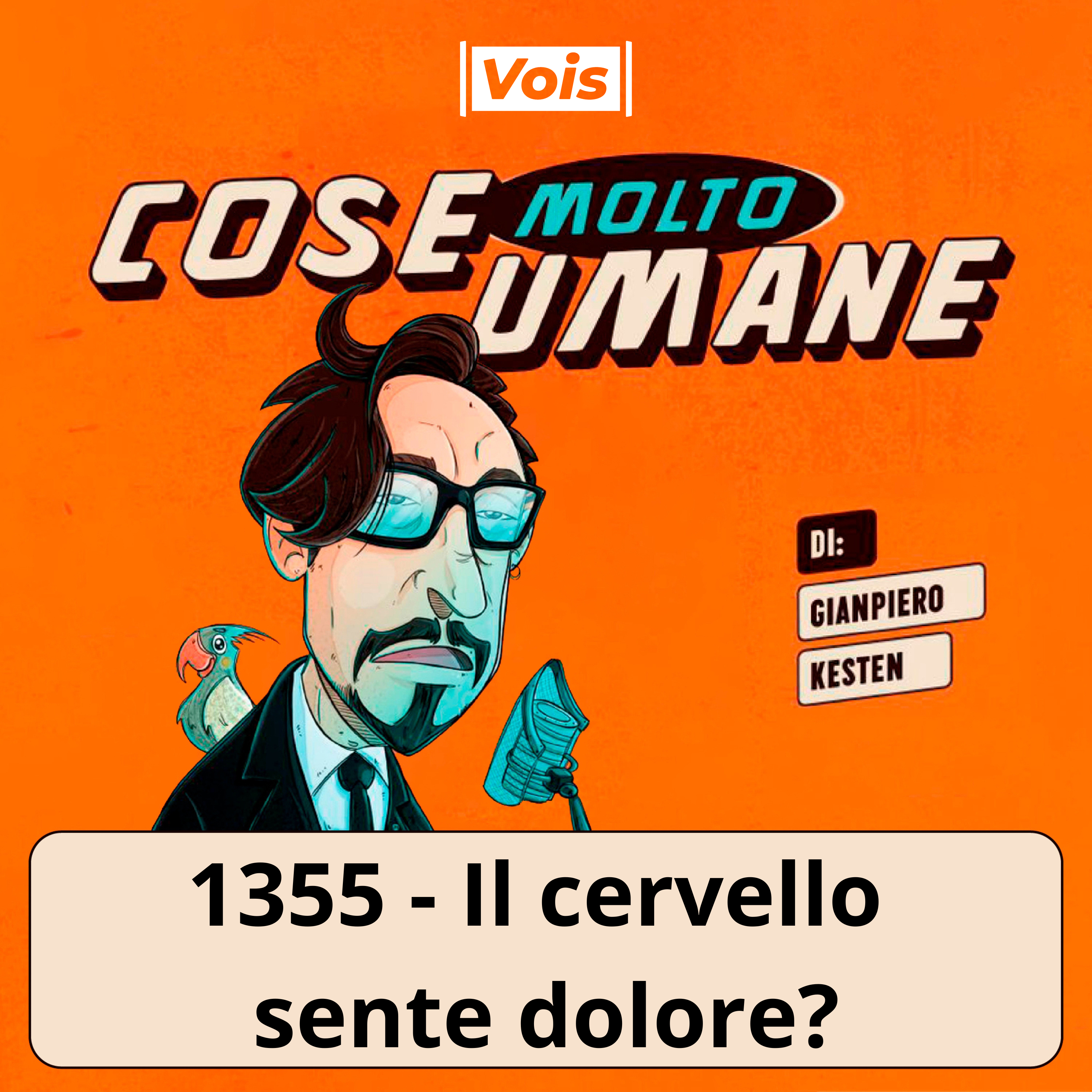 1355 - Il cervello sente dolore?