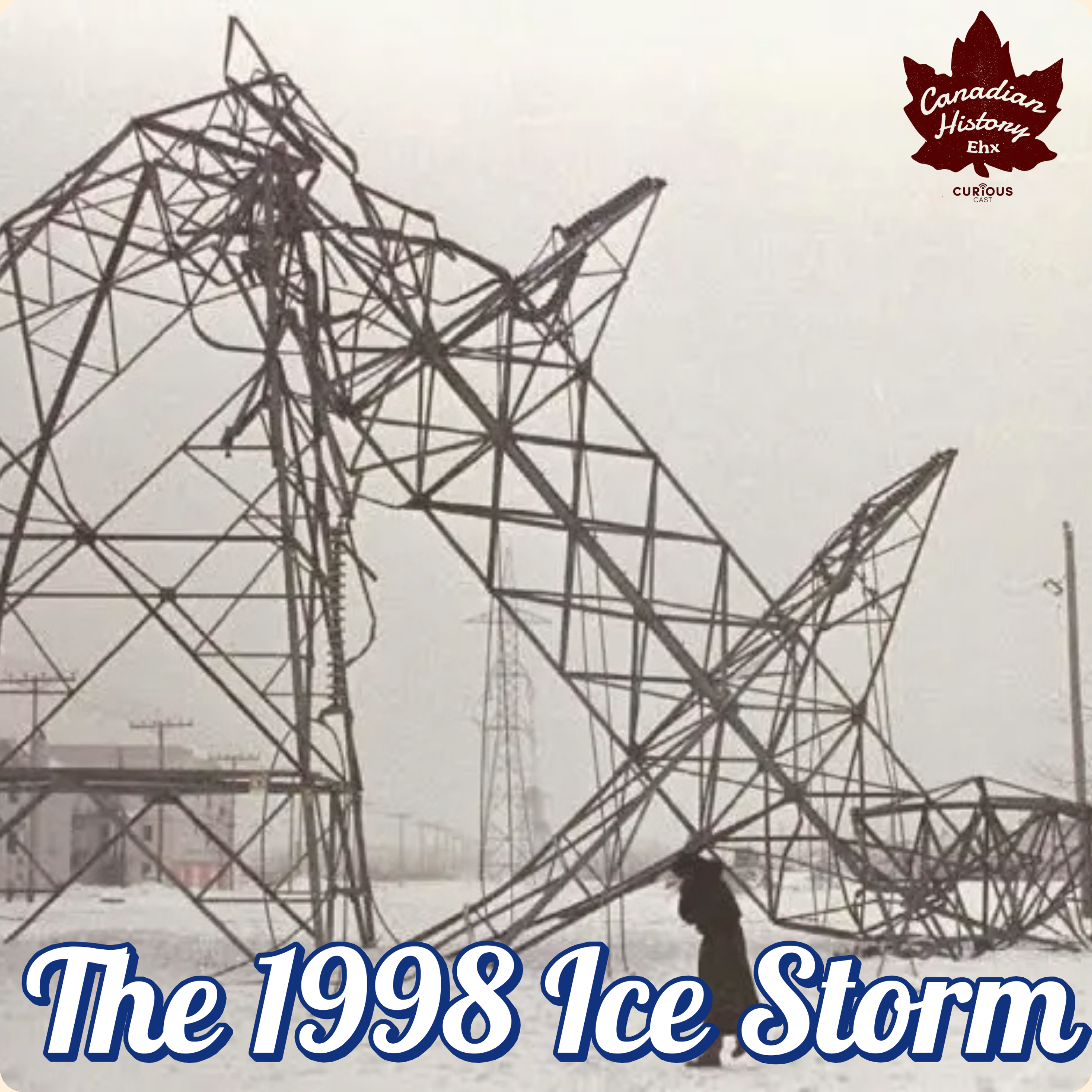 A Costly Disaster: The 1998 Ice Storm