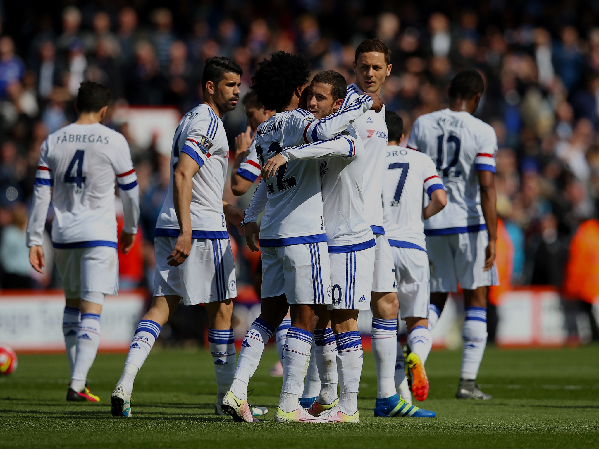 Back Of The Net - The AFC Bournemouth Podcast