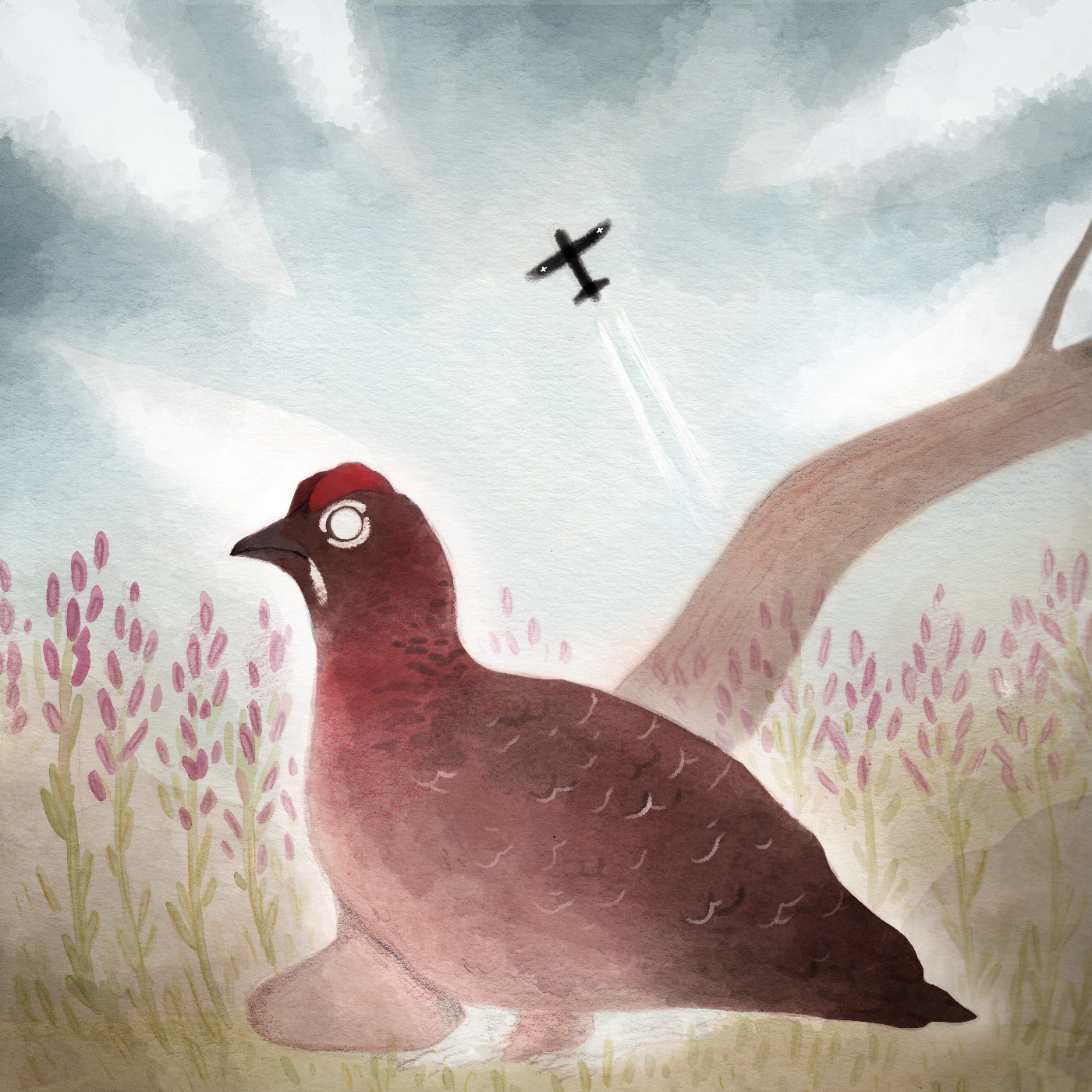 "The NoSleep Podcast" Podcast