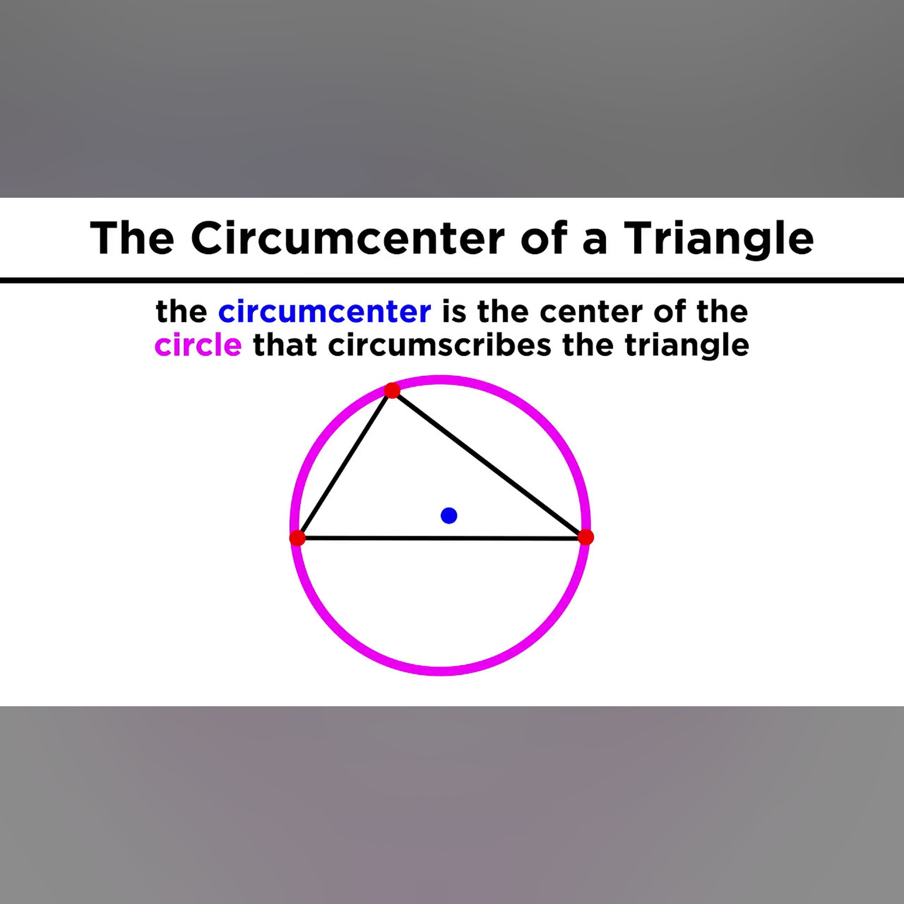 Special Lines in Triangles: Bisectors, Medians, and Altitudes