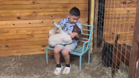 ¡Un niño y su cabra conquistan corazones!