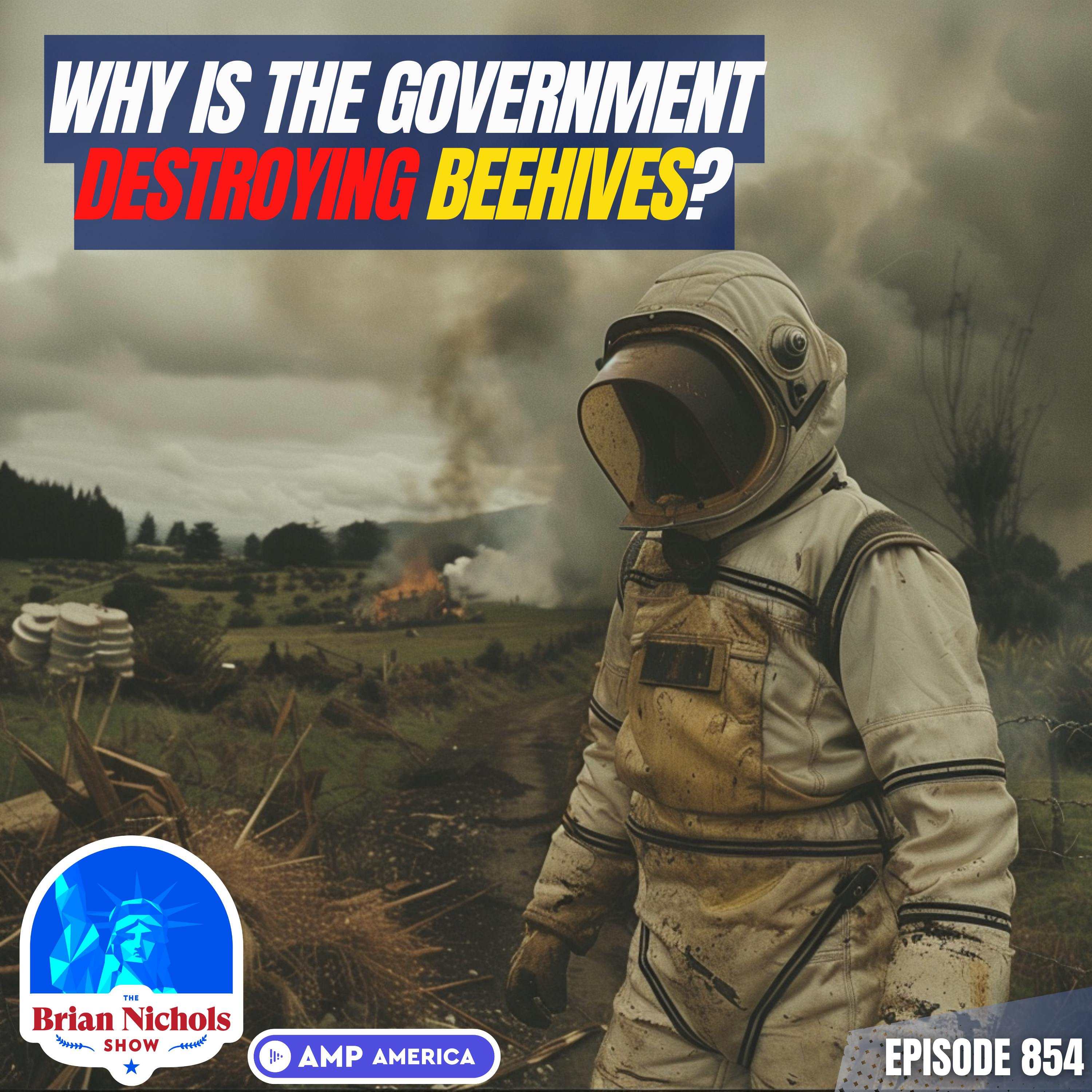 854: Why is the New Zealand Government Destroying Beehives?
