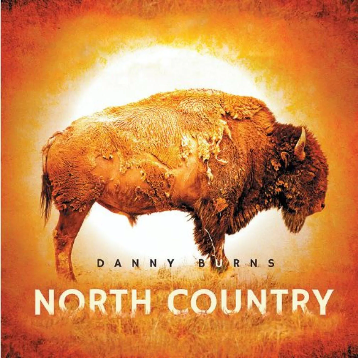 Danny Burns Profile Danny Burns Profile