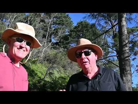 Learning from the past on the Darwin trail