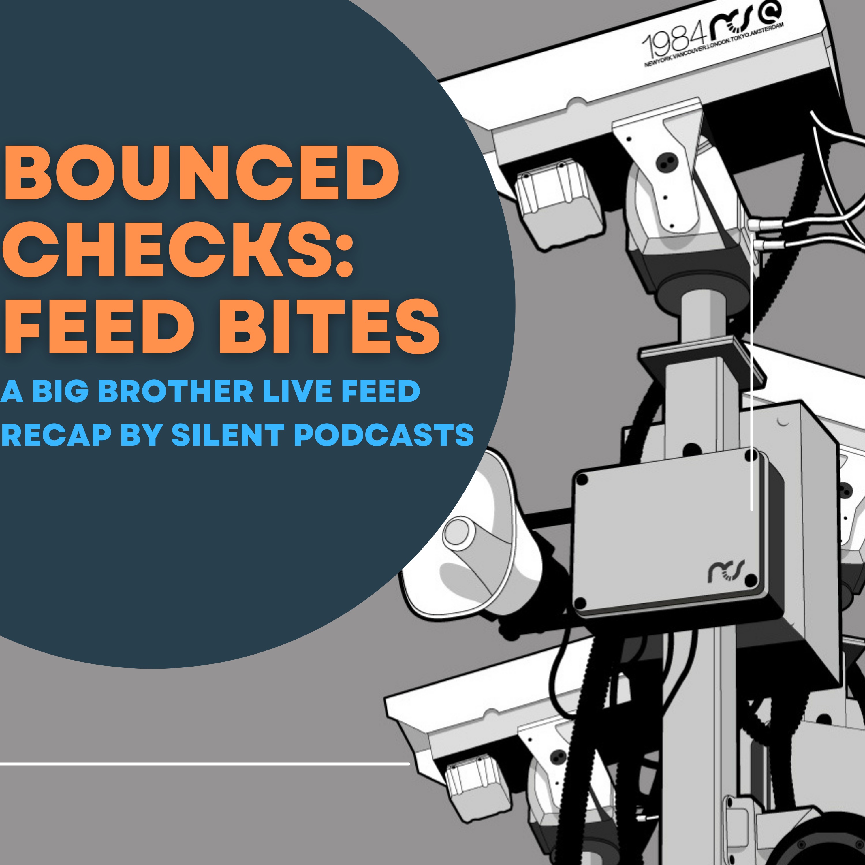 Bounced Checks: Feed Bites - #BB25 Live Feed Recap & Discussion -- 8/16/23 episode artwork