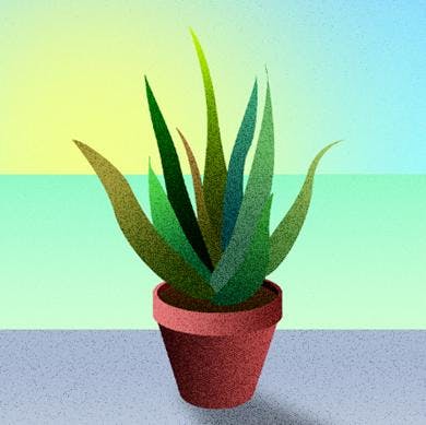 Start - 26 marzo 2020 Start - 26 marzo 2020