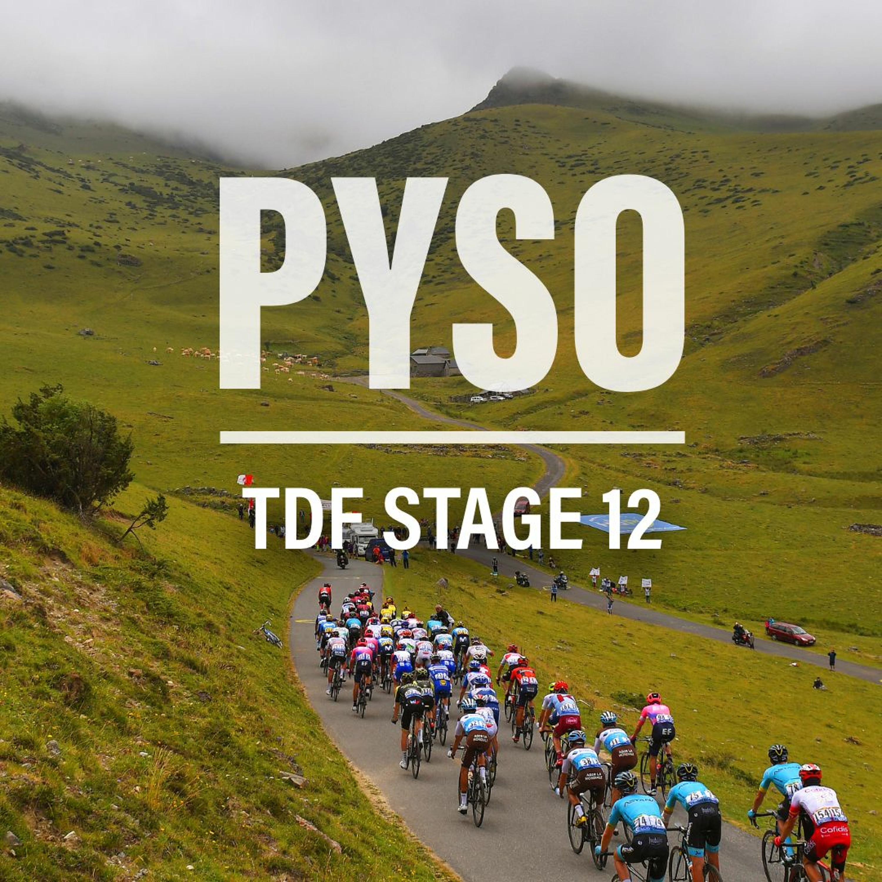 VeloNews Voices | PYSO ep. 12: 2019 Tour de France, Stage Twelve episode artwork