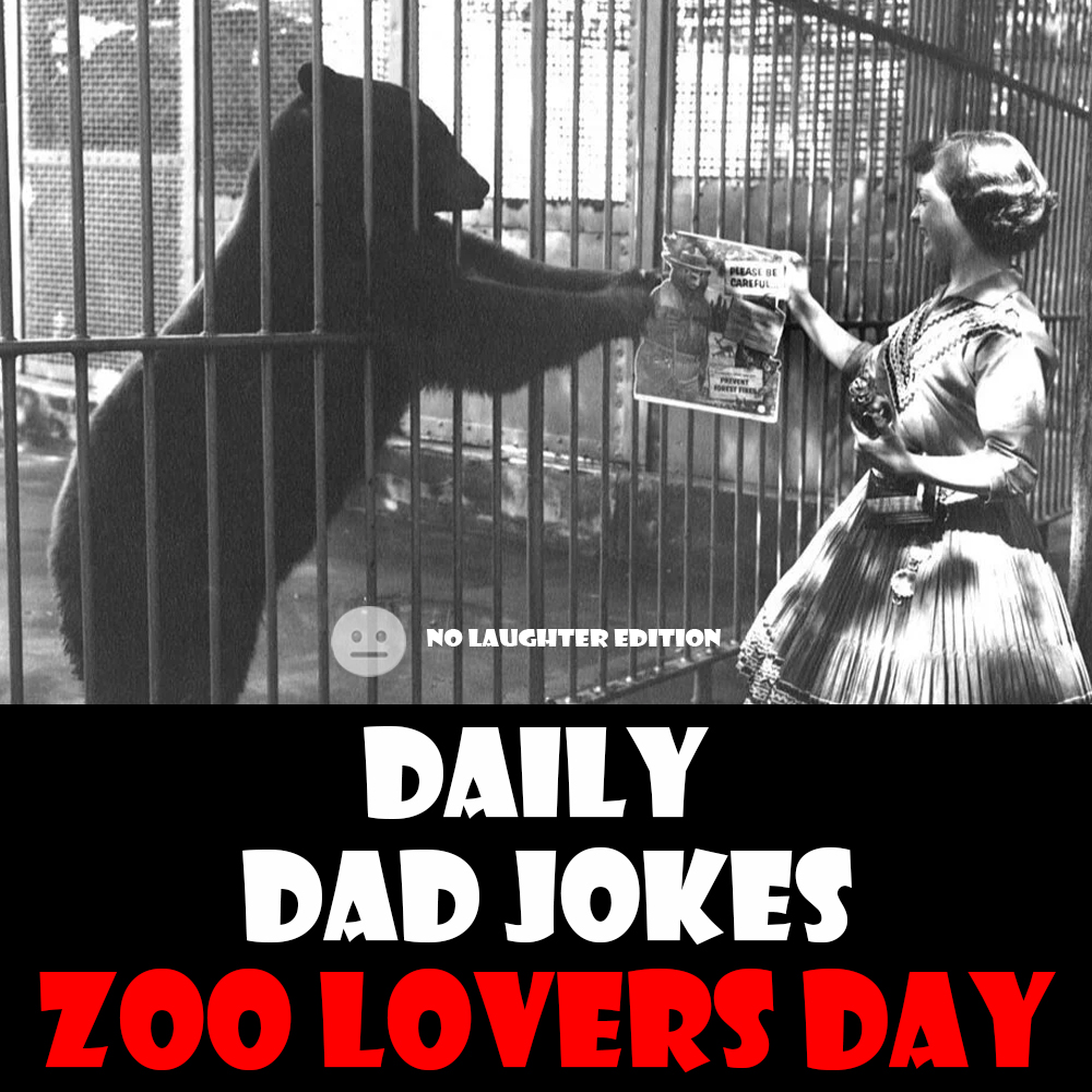 [No Laughter Version] National Zoo Lovers Day! 17 dad jokes to monkey with! 08 April 2026