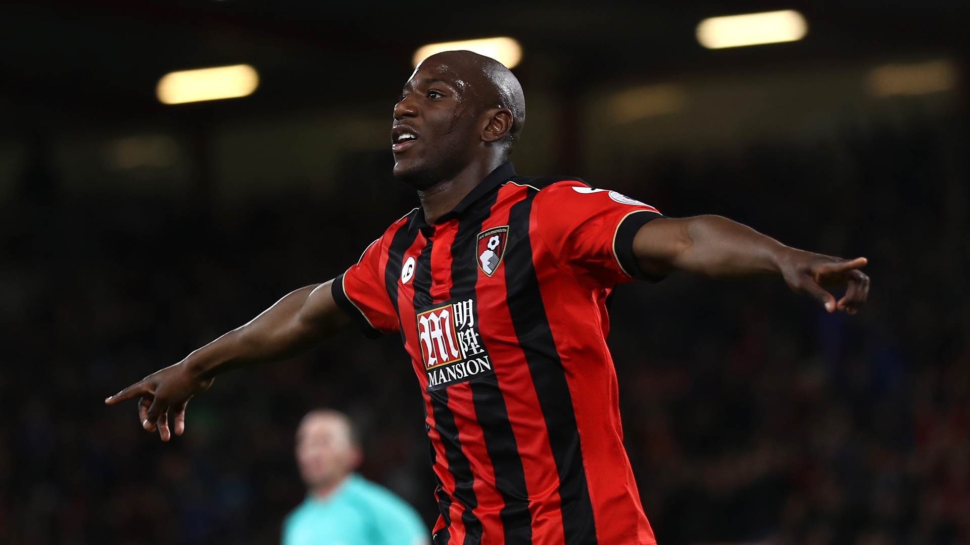 Back Of The Net - The AFC Bournemouth Podcast