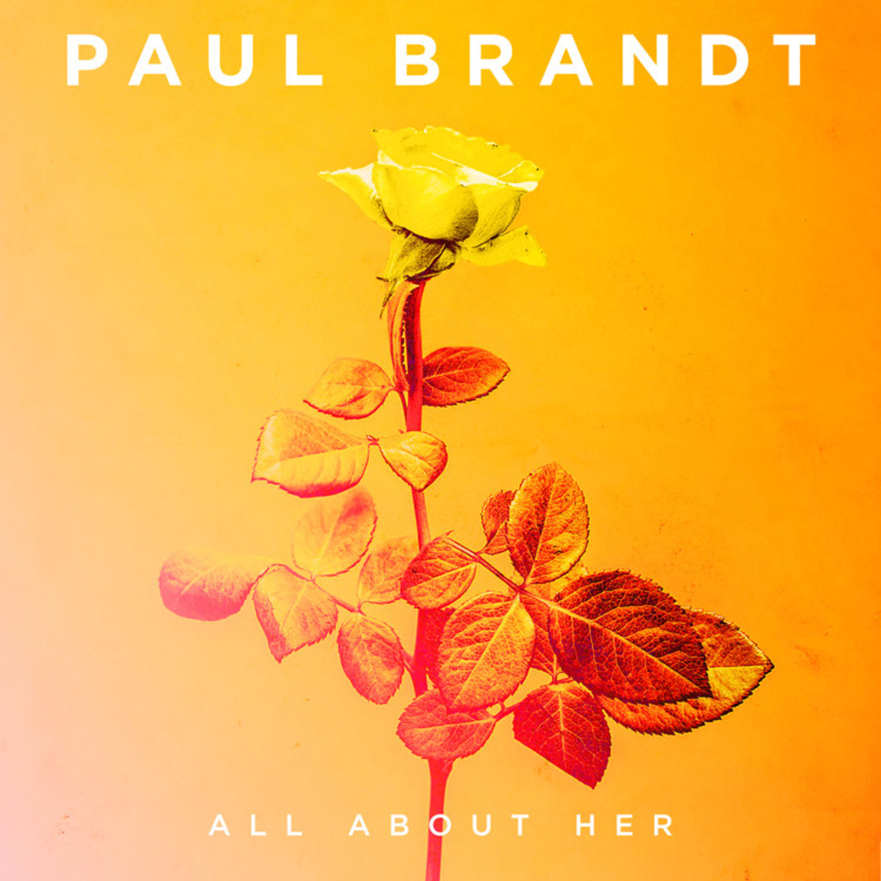Paul Brandt - On his new album, his new single & a successful marriage  - April 3 2018 episode artwork