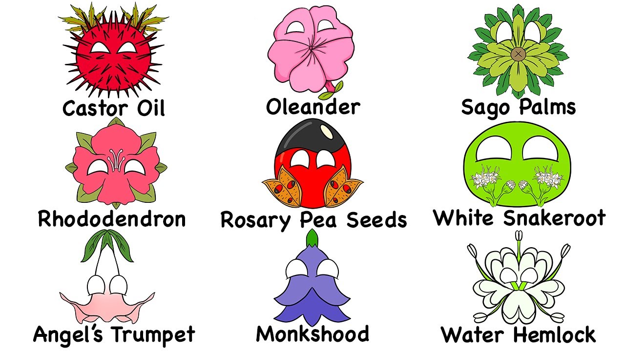 Every DEADLIEST Plant Explained in 10 Minutes | The Analyst episode artwork