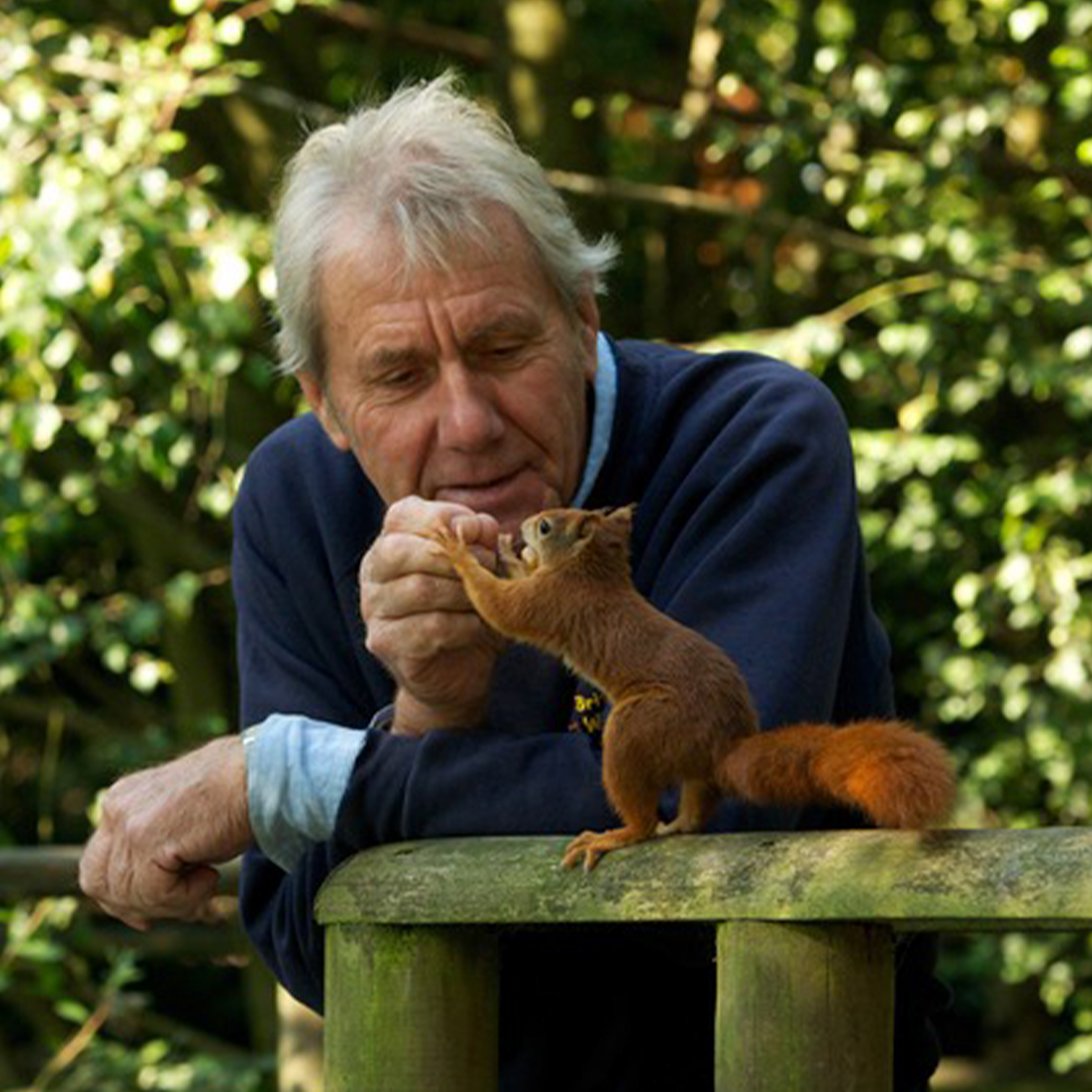 304. Meet some of the UK's most elusive animals - at the British Wildlife Centre