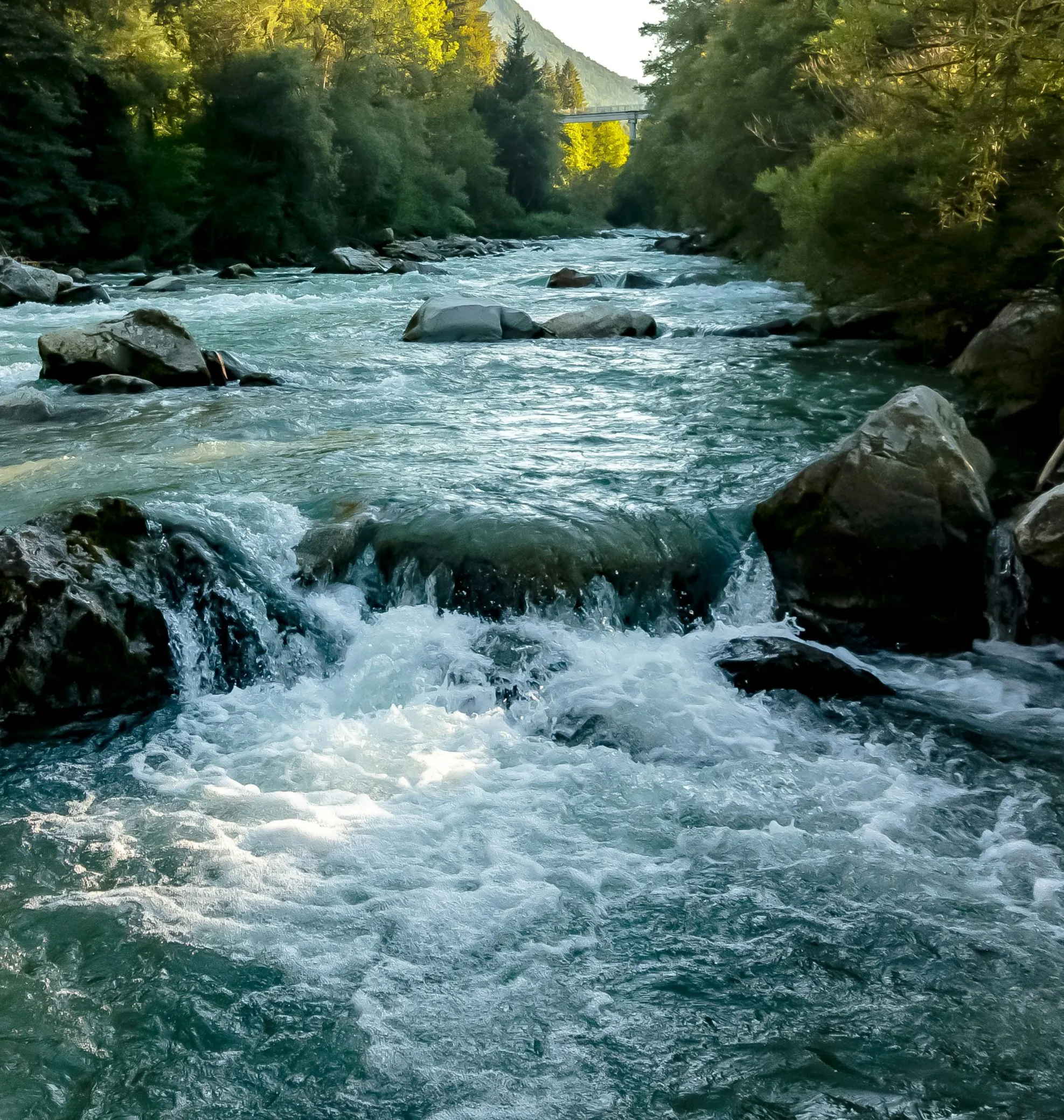 River Stream & Calming Wind: 8-Hour Soothing Nature for Relaxation, Studying & Sleep episode artwork
