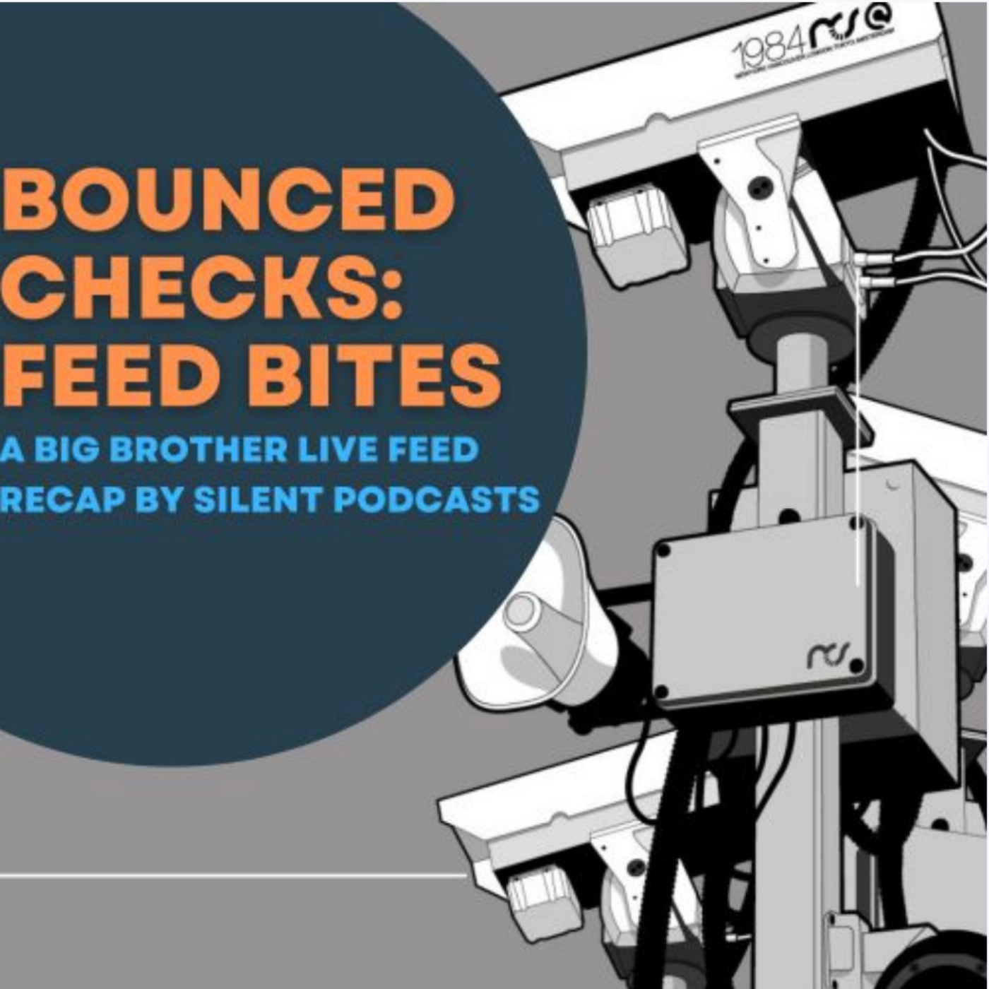Bounced Checks: Feed Bites | #BB25 Live Feed Recap & Discussion: 8/9/23 episode artwork