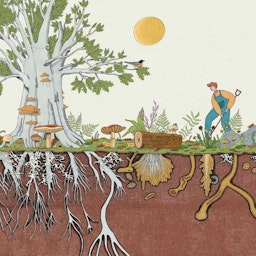 Copertina di La cura della terra