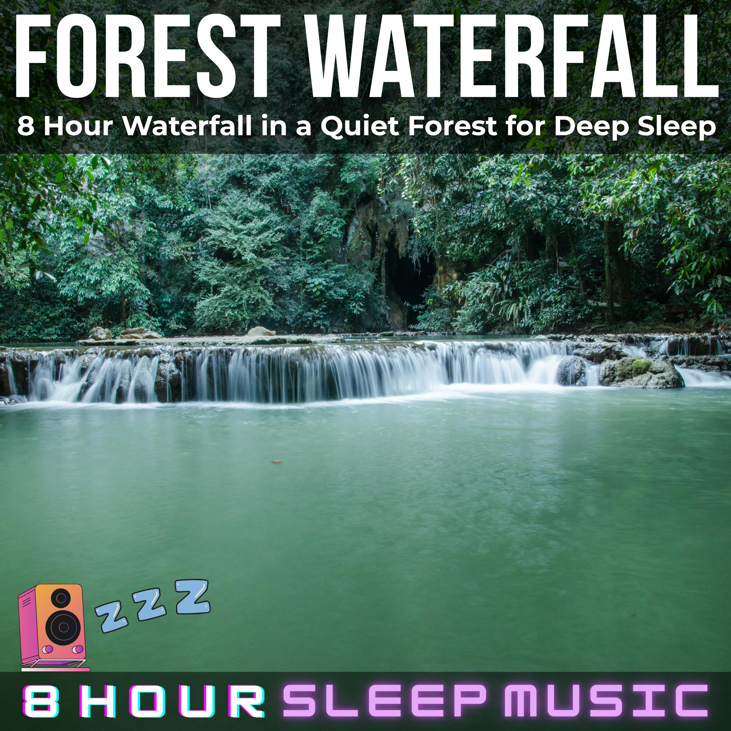 đī¸ Forest Waterfall | 8 Hour Relaxing Waterfall in a Forest (No Music) for Sleep, Meditation, & Study đ¤
