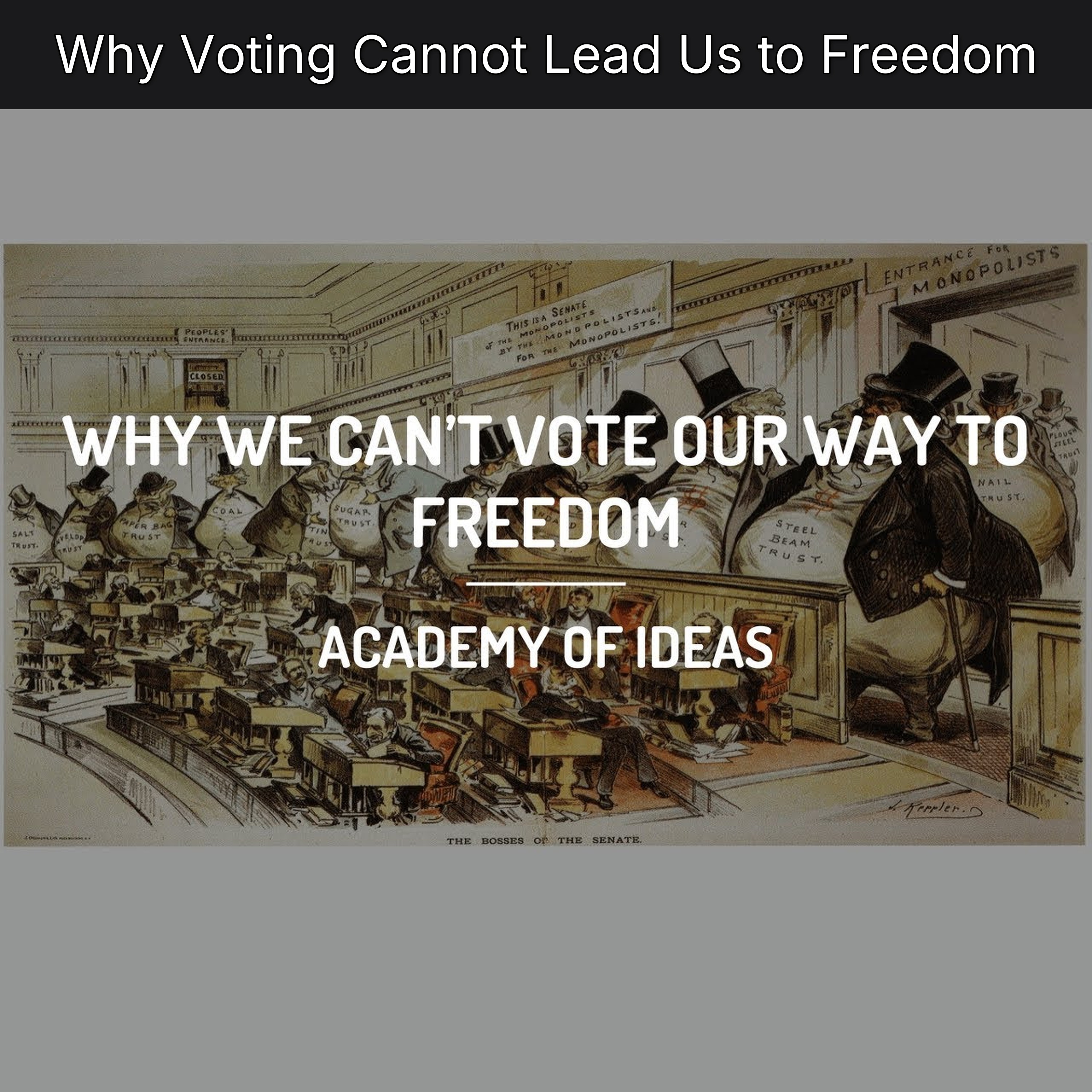 Why Voting Cannot Lead Us to Freedom episode artwork