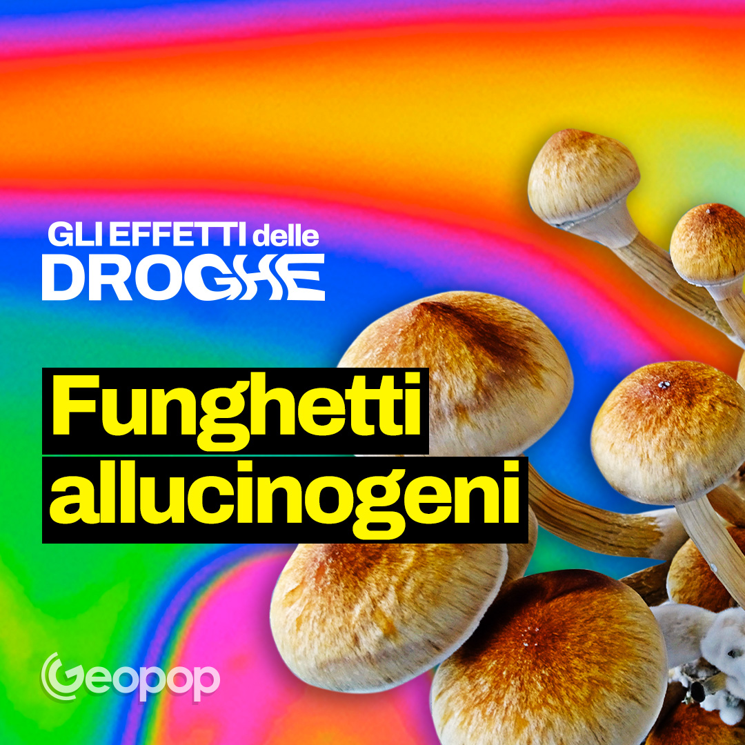 EP. 3 - Funghetti allucinogeni, cosa succede a corpo e cervello quando li mangiamo