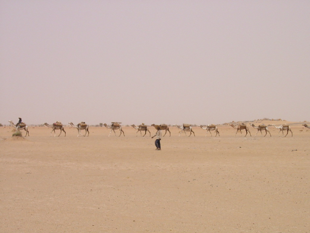 Crisis in the Sahel: the end of Western intervention and the collapse of Mali