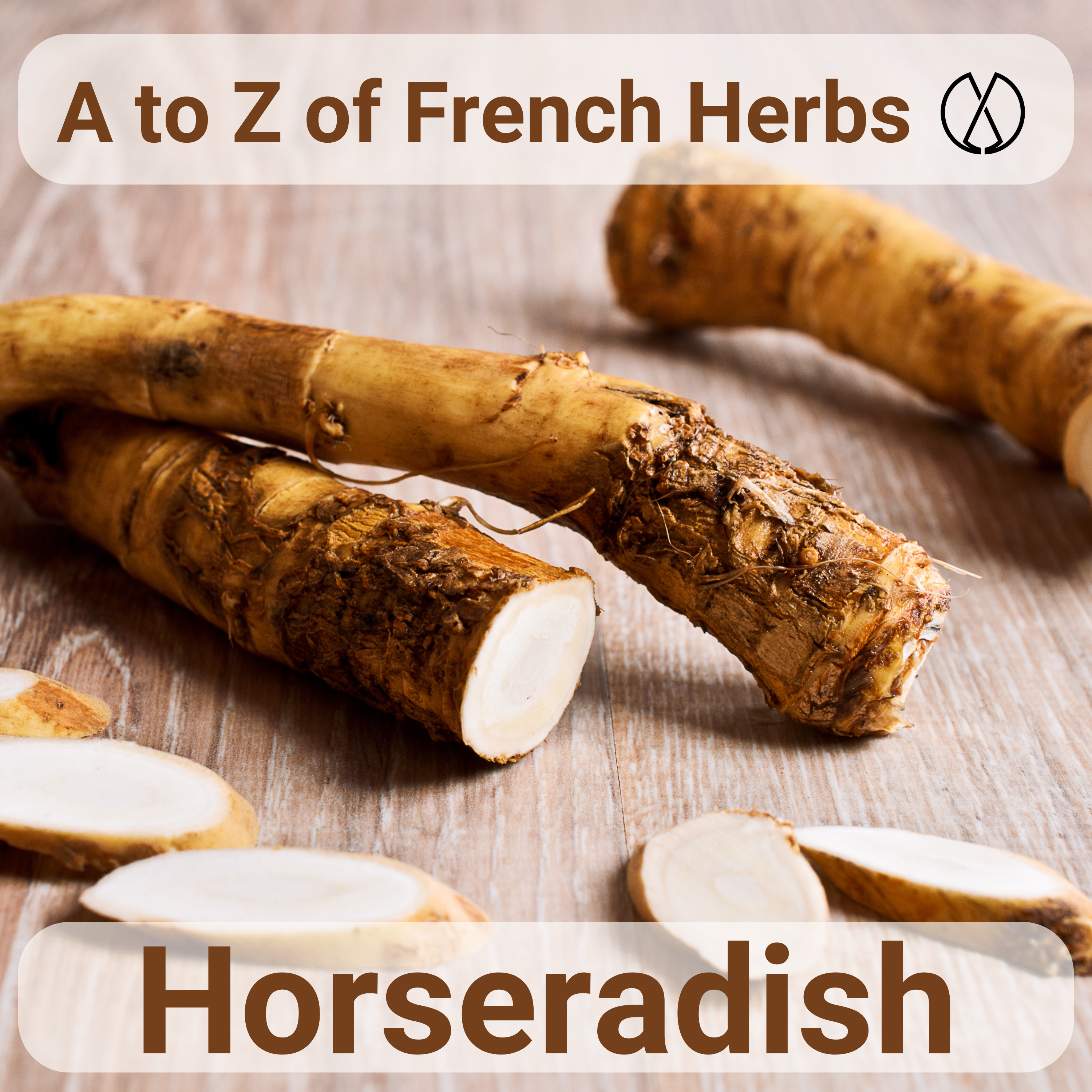 A to Z of French Herbs Horseradish Raifort Fabulously Delicious
