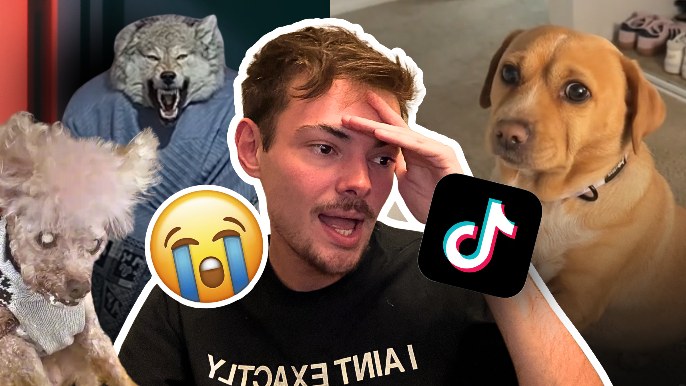 Let’s Watch My Favorite TikToks Together