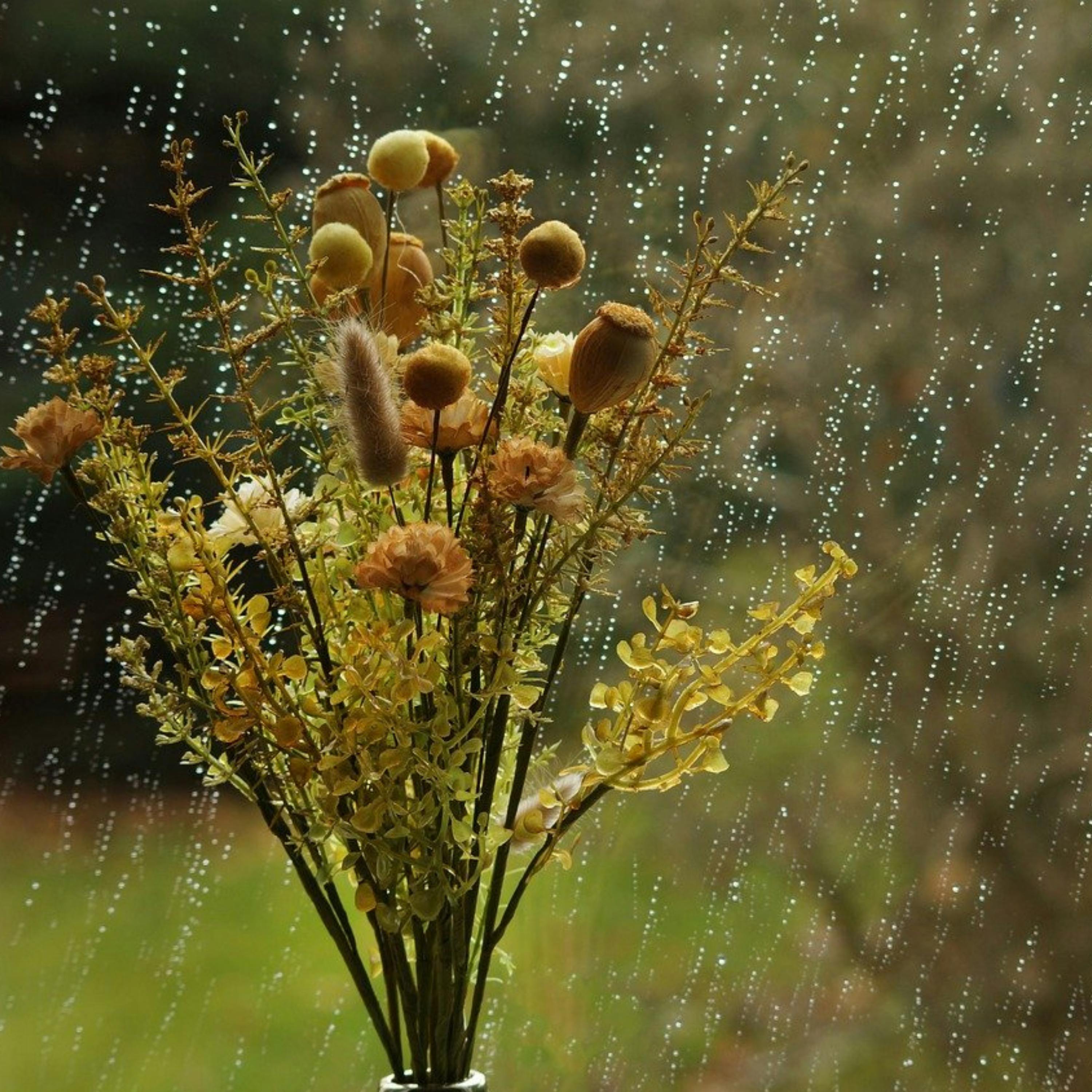 ️Suave MÚSICA y LLUVIA Torrencial: un Dúo Calmante para un SUEÑO Profundo episode artwork