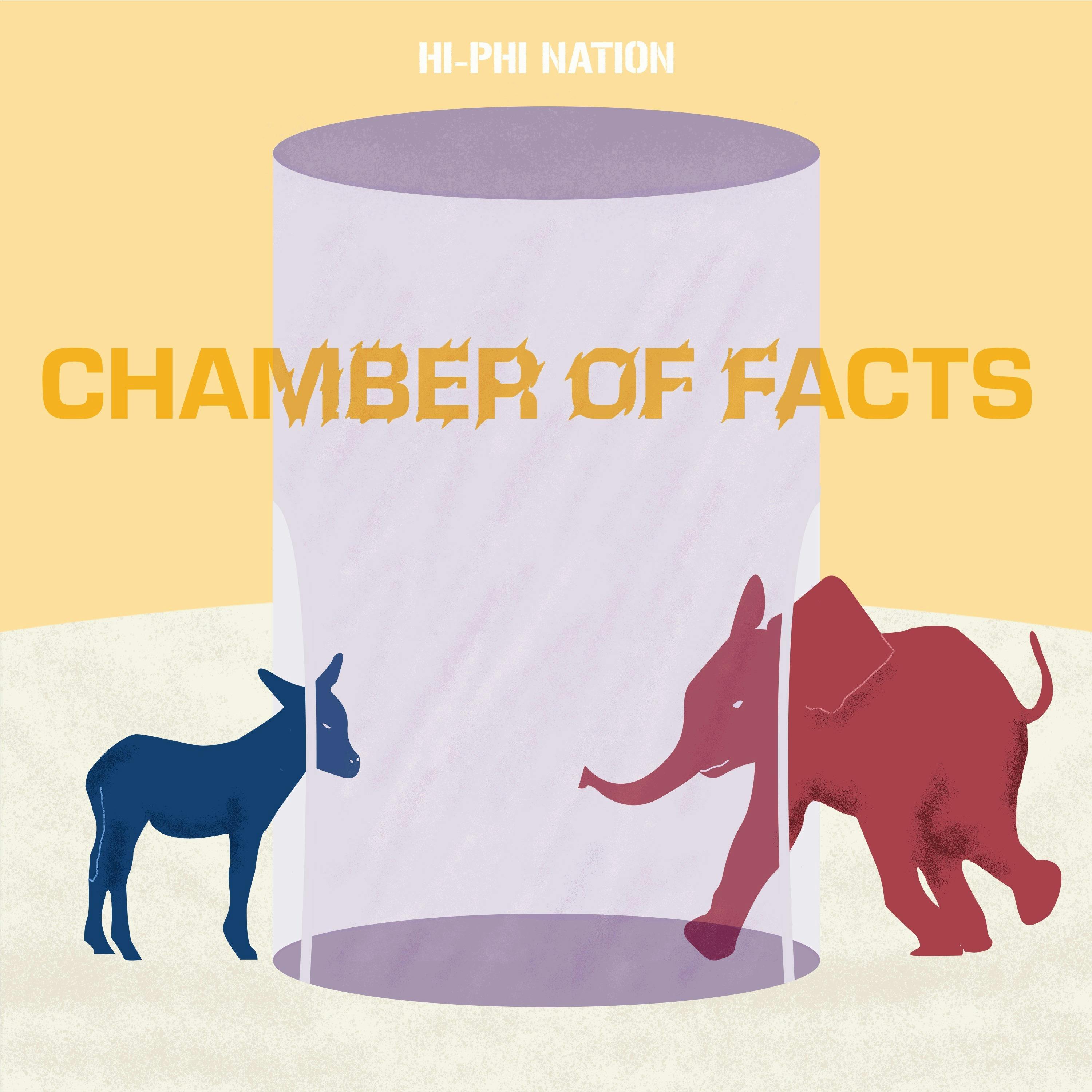 Chamber of Facts