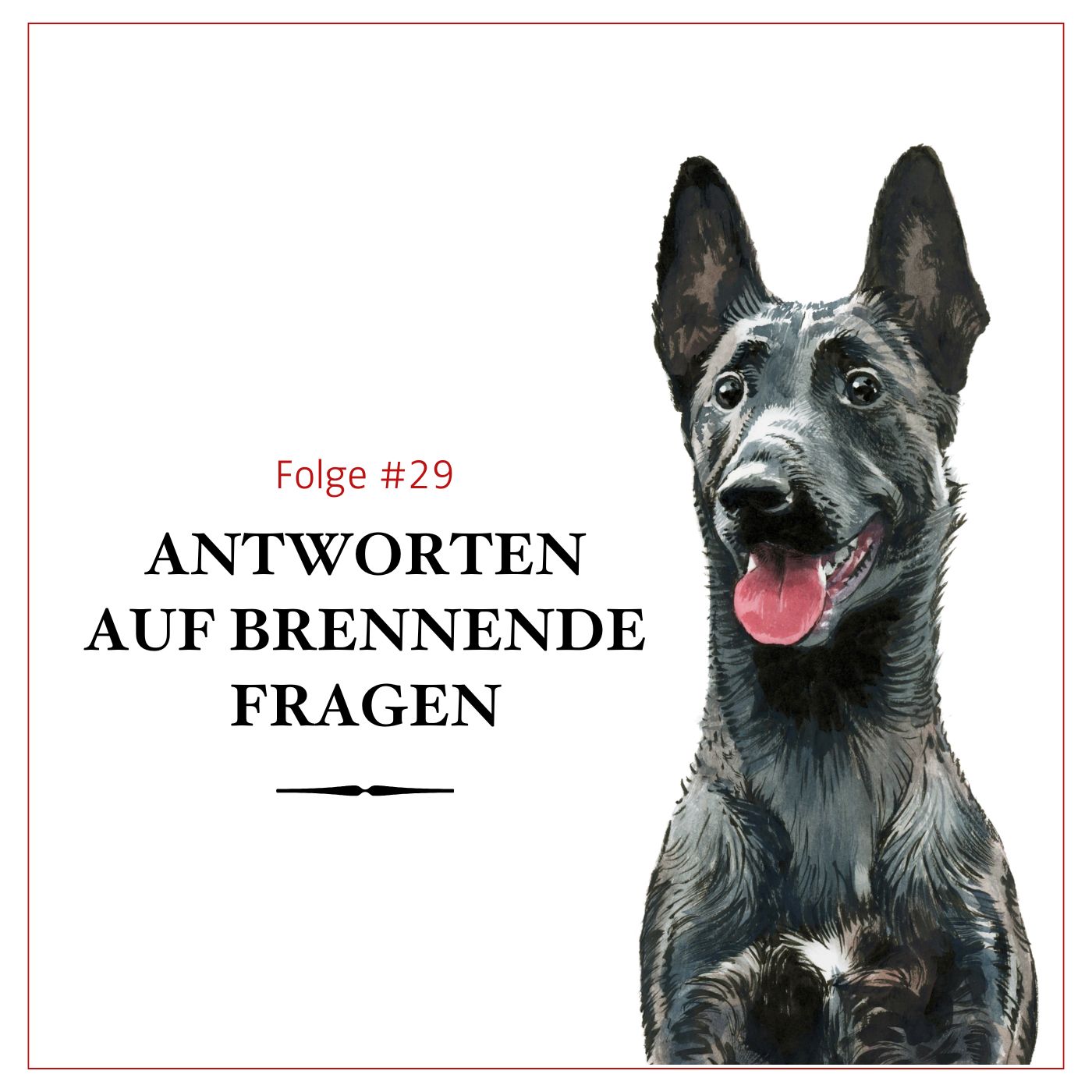 Antworten auf brennende Fragen – #29