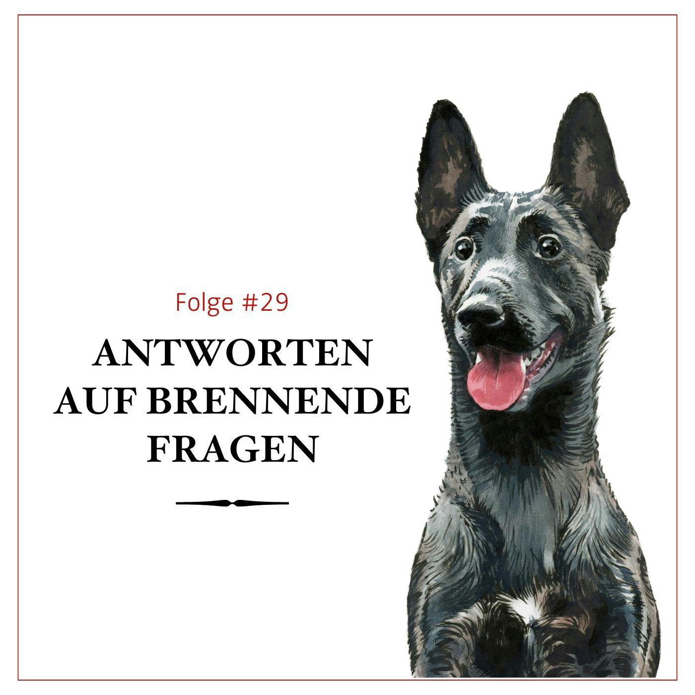 Antworten auf brennende Fragen – #29 Antworten auf brennende Fragen – #29