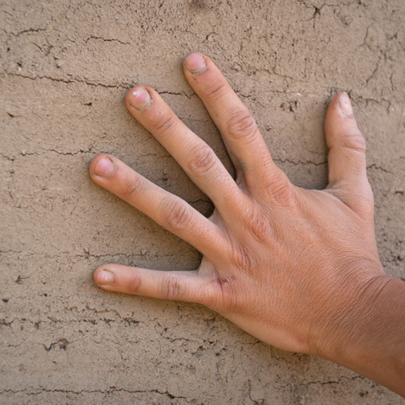 Squola praticante. Fare permacultura con Giulia Zanetti