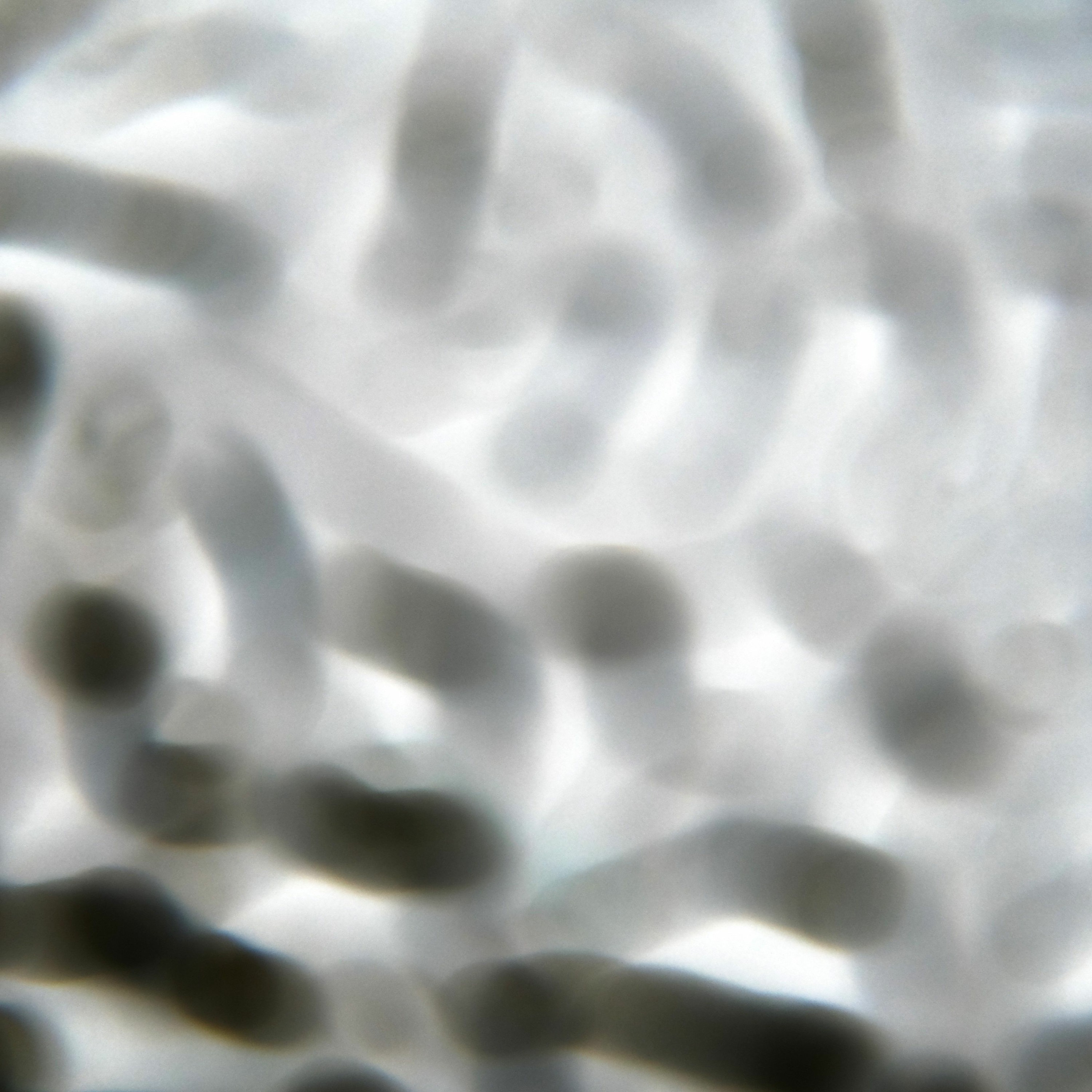 Entrevistas Especulativas