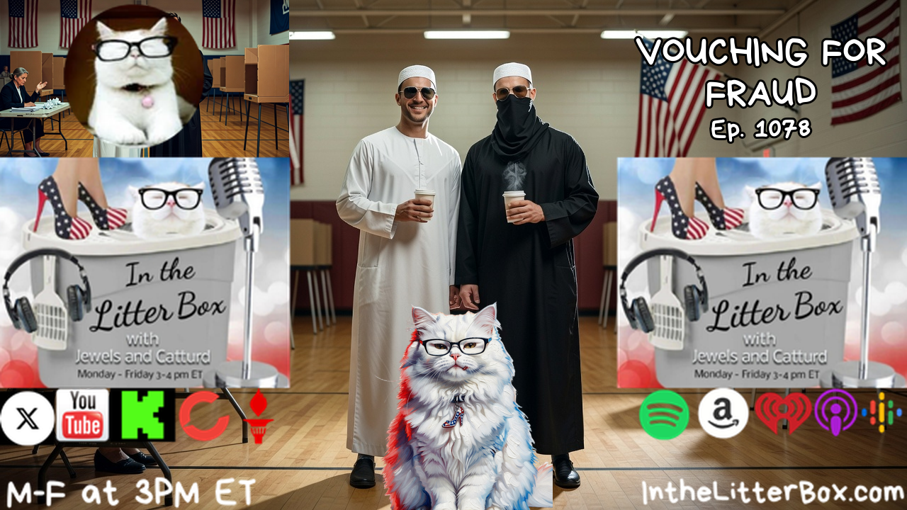 VOUCHING FOR FRAUD | In the Litter Box w/ Jewels & Catturd – Ep. 1078 – 8/14/2026