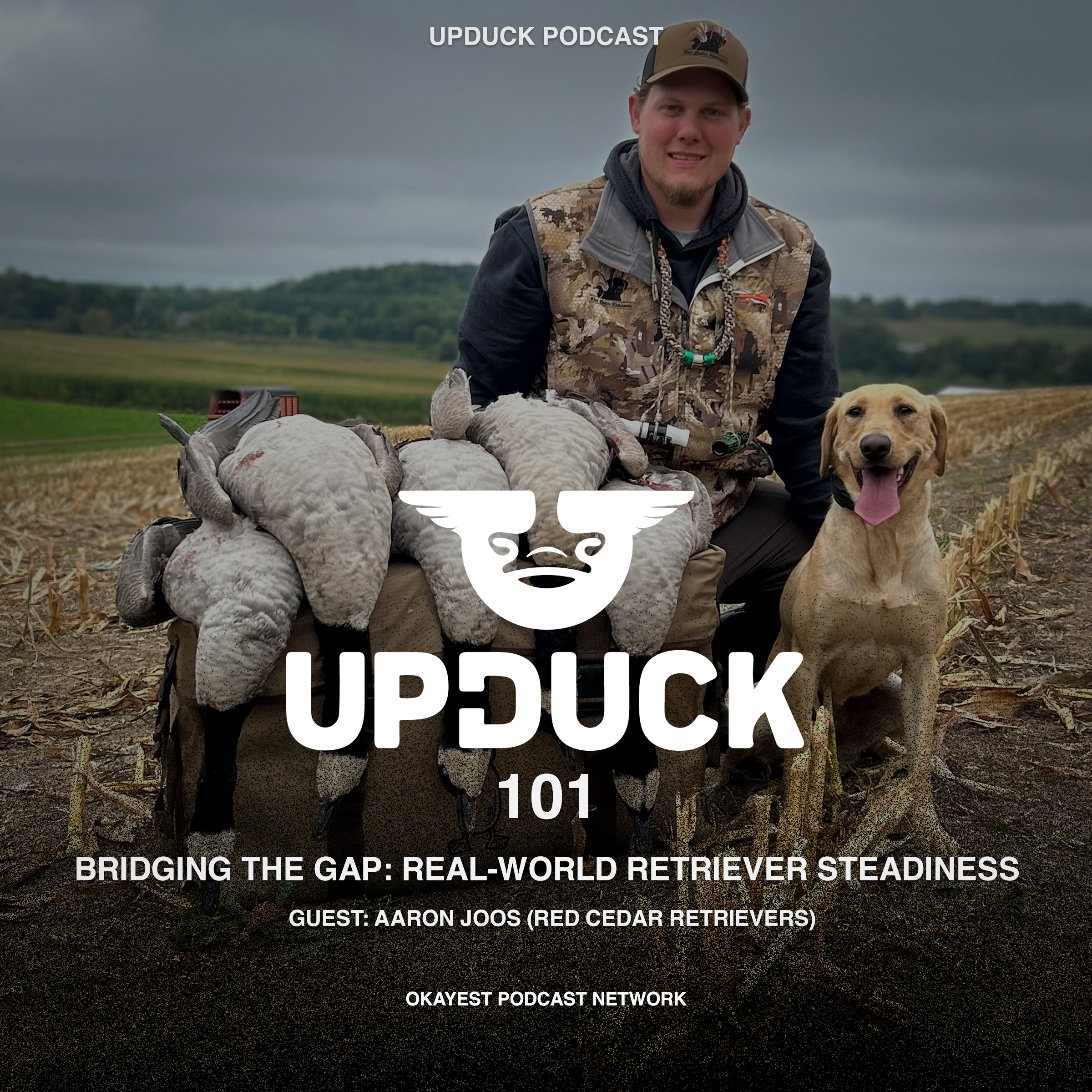 Bridging the Gap: Real-World Retriever Steadiness with Aaron Joos (Red Cedar Retrievers) episode artwork