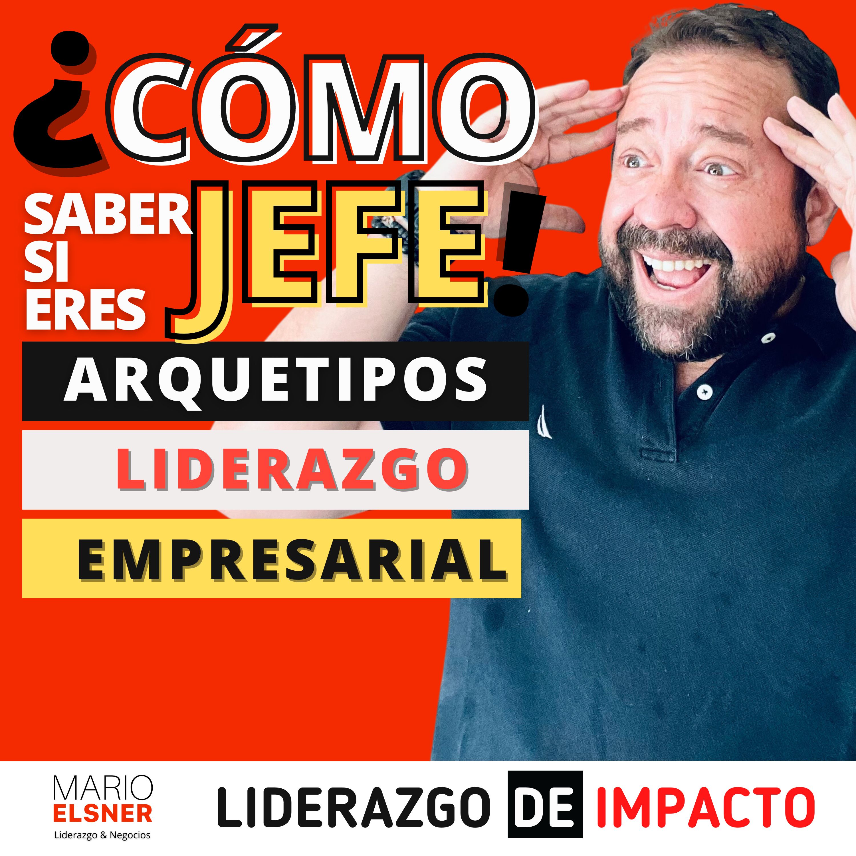Portada de ¿Cómo lo haría un DIRECTOR?