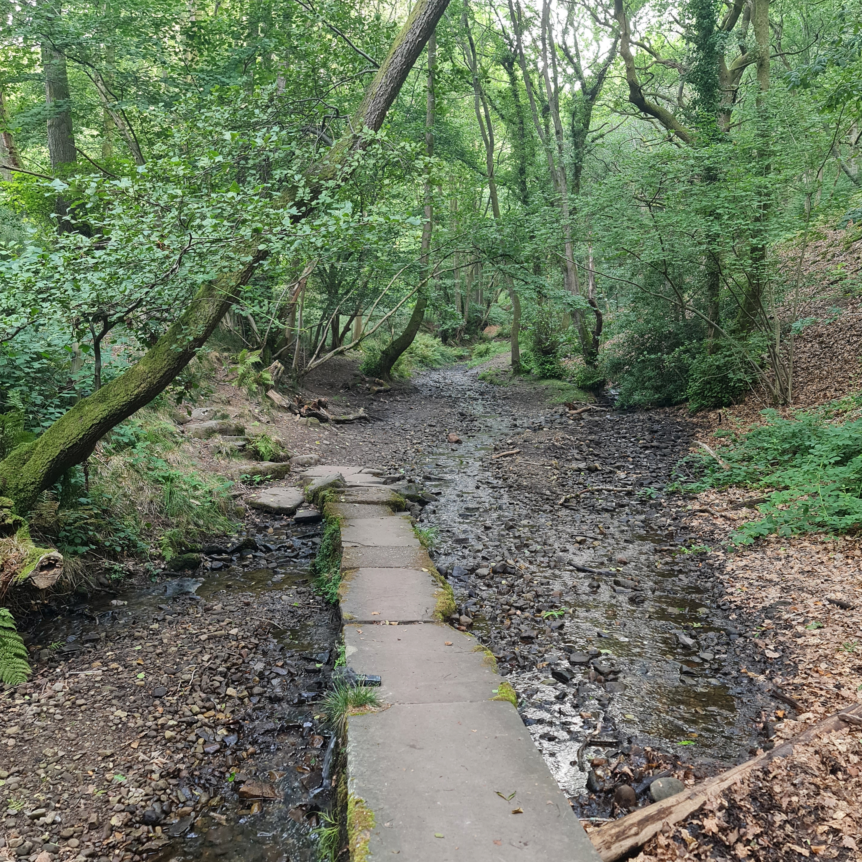Sound Escape 238. Pause on a bridge over a late summer stream