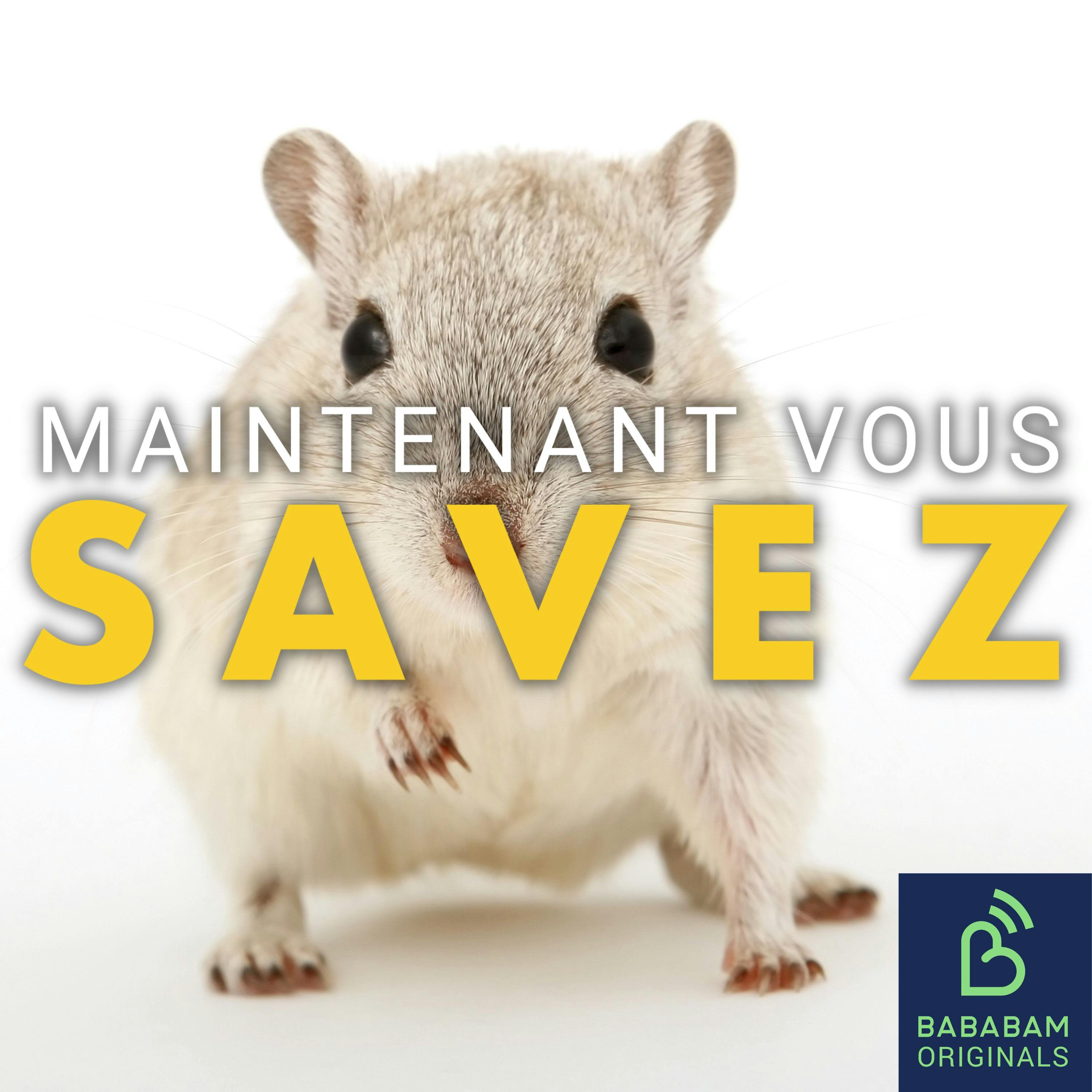 Les “hommes rongeurs” seraient-ils le nouvel idéal masculin ? Les “hommes rongeurs” seraient-ils le nouvel idéal masculin ?