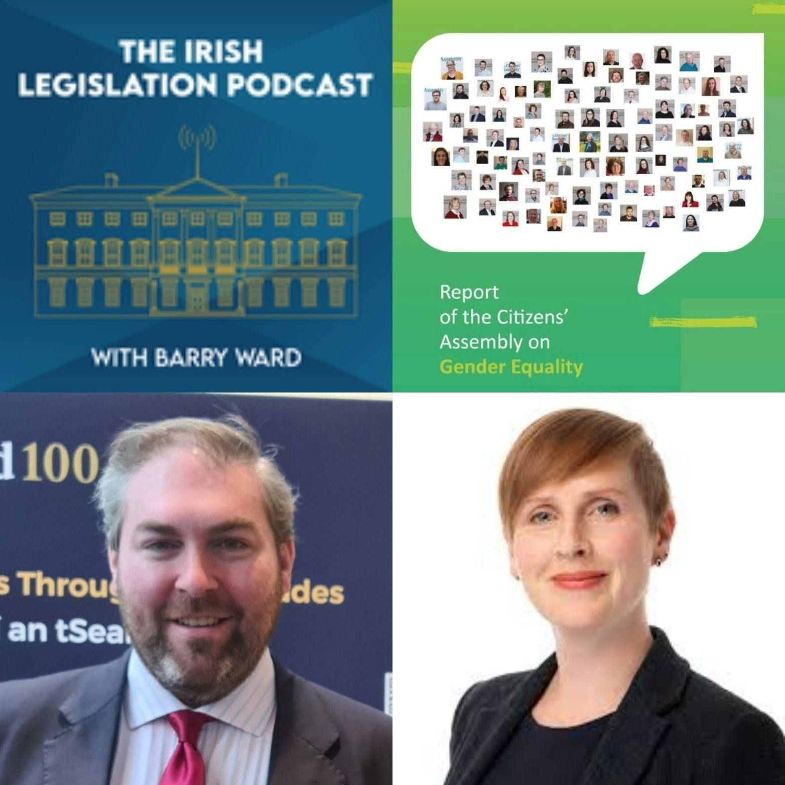 S2 Ep5: Oireachtas Committee on Gender Equality S2 Ep5: Oireachtas Committee on Gender Equality