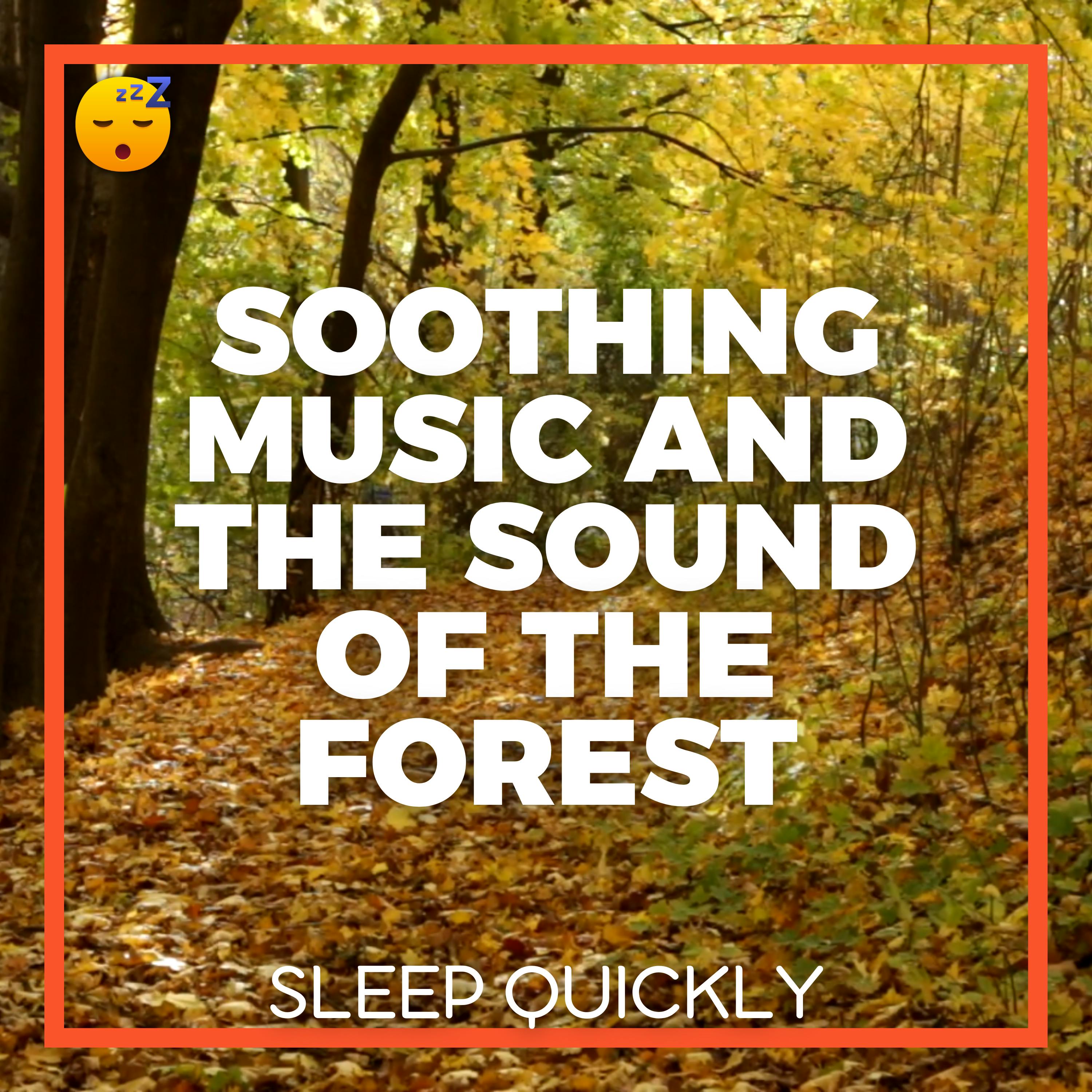 😴🍂🎵 Soothing MUSIC and the Sound of the FOREST for a Restorative SLEEP episode artwork