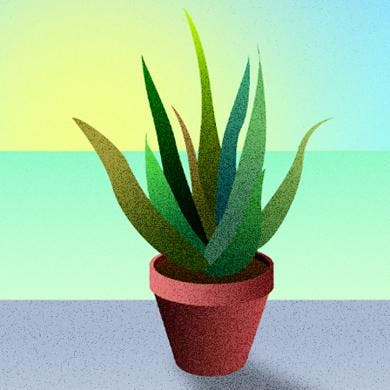 Start - 23 marzo 2020 Start - 23 marzo 2020