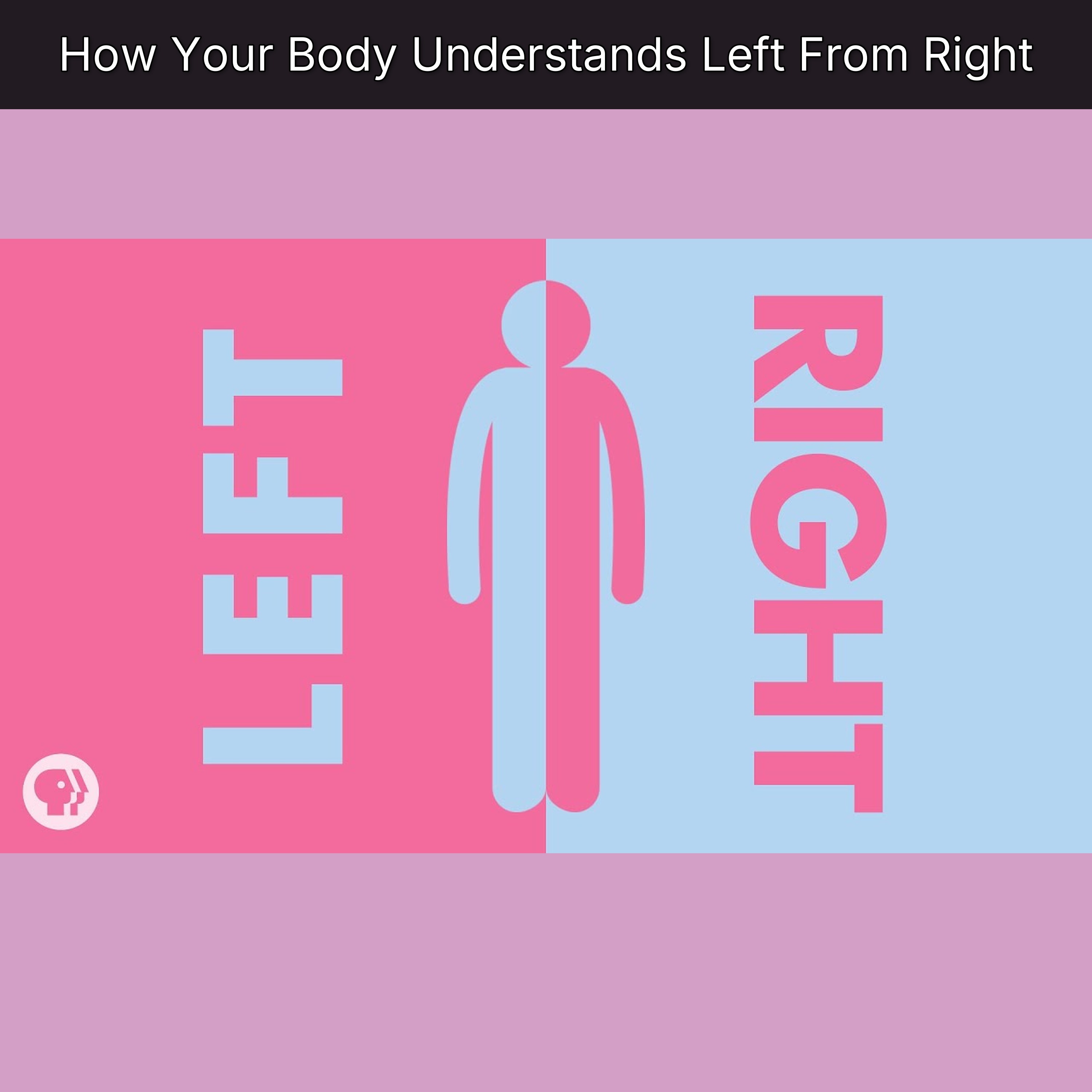How Your Body Understands Left From Right episode artwork