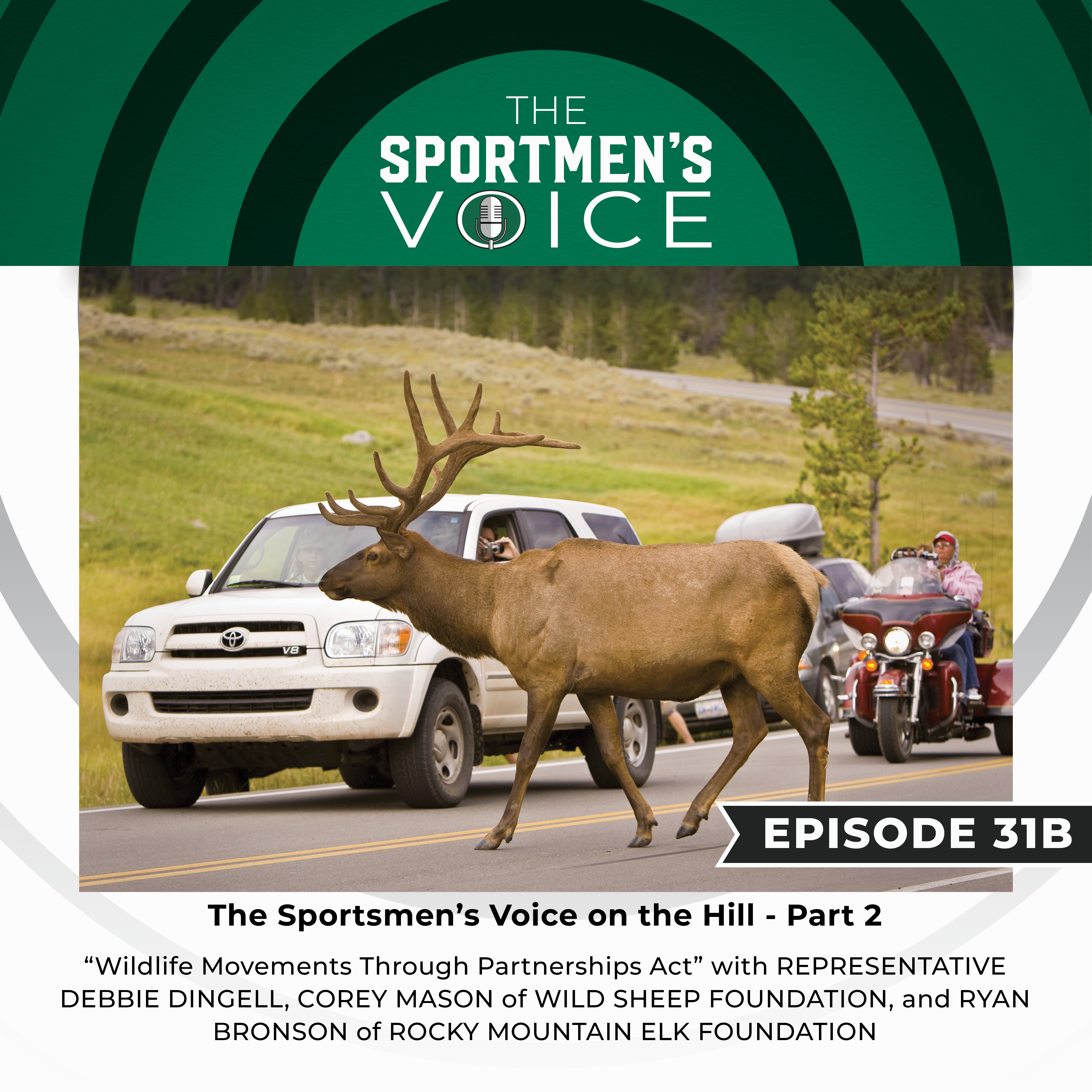 The Sportsmen\'s Voice | Hunting, Fishing and Conservation Advocacy with Congressional Sportsmen\'s Foundation